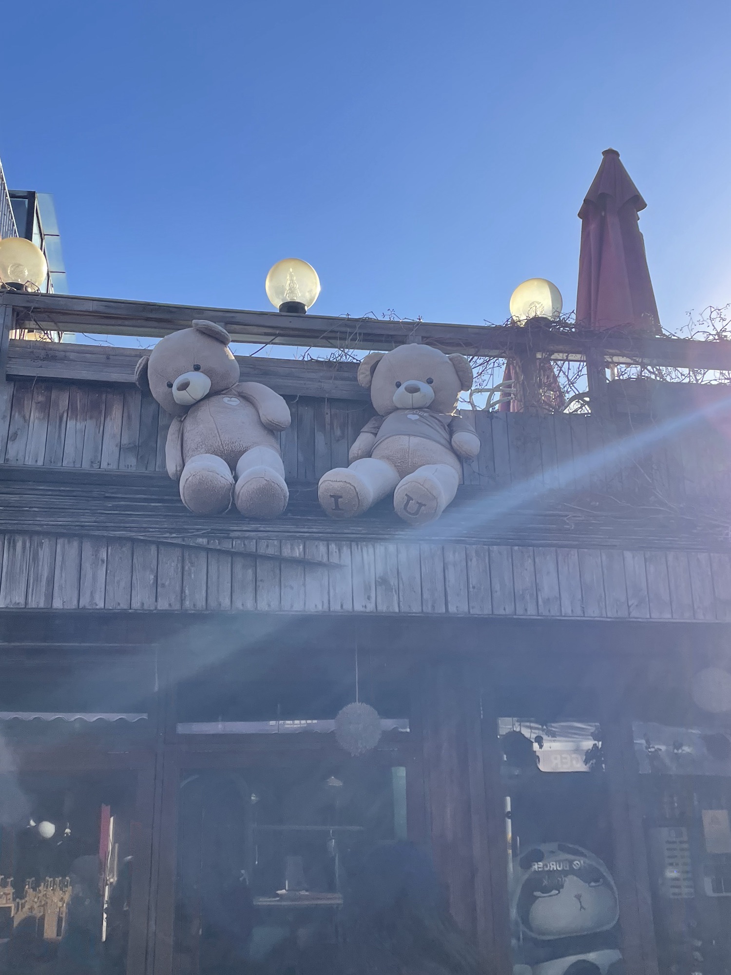 北二环城市公园旅行图片 2