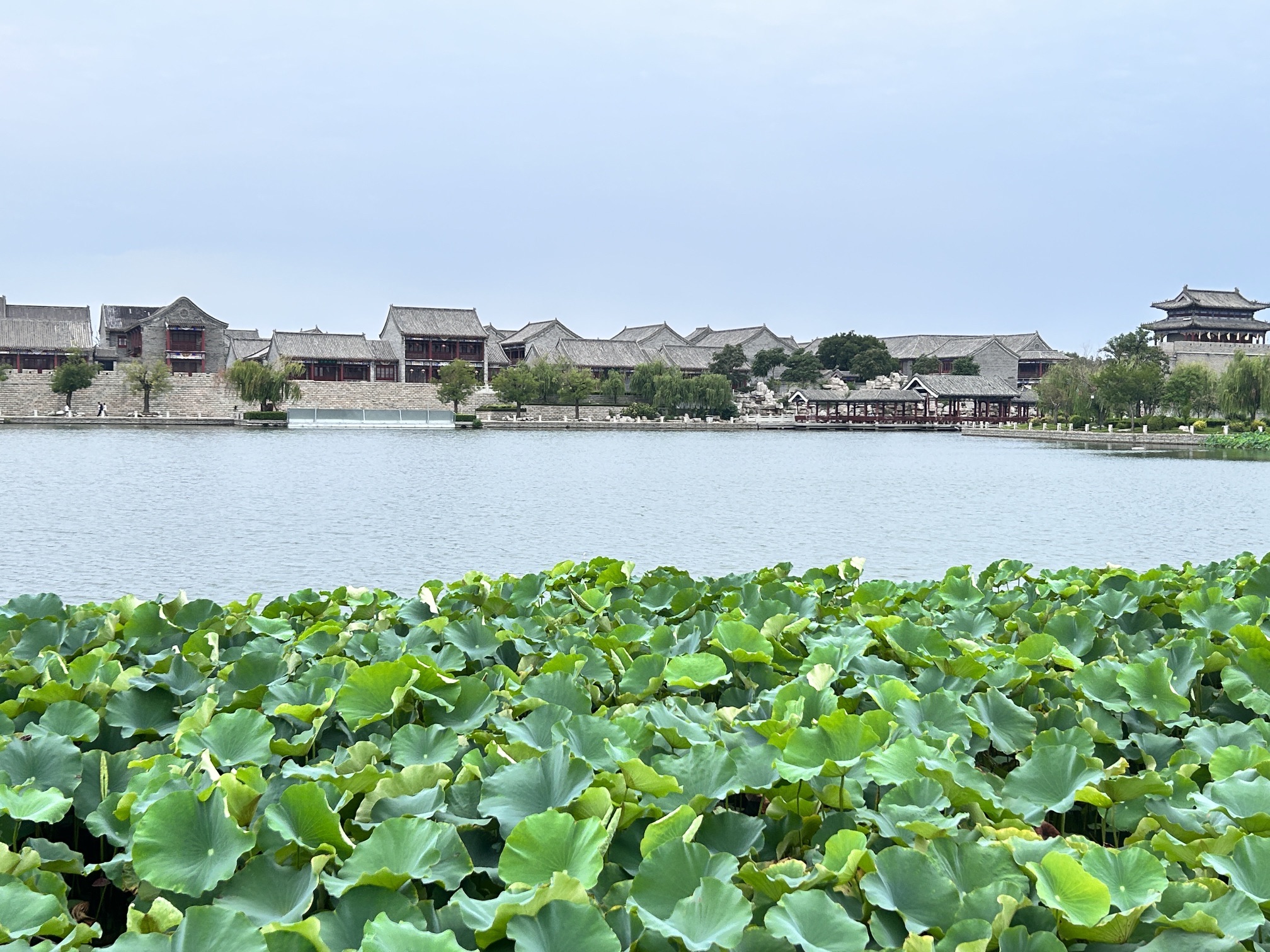 荷花湾公园旅行图片 3