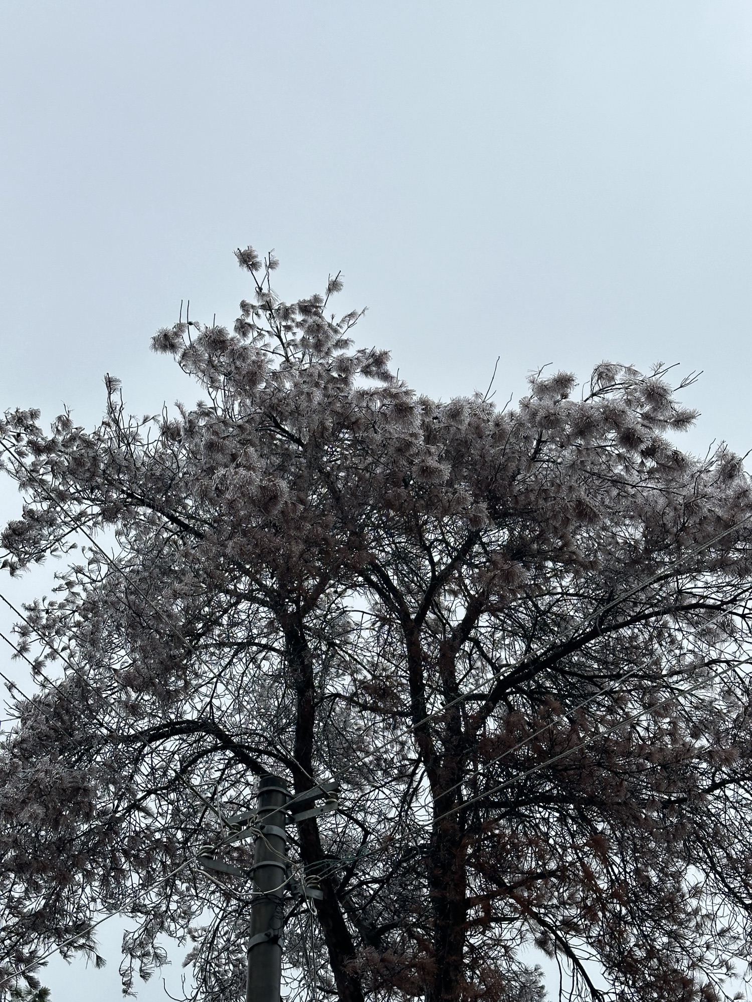 早禾冲水库风景区旅行图片 2