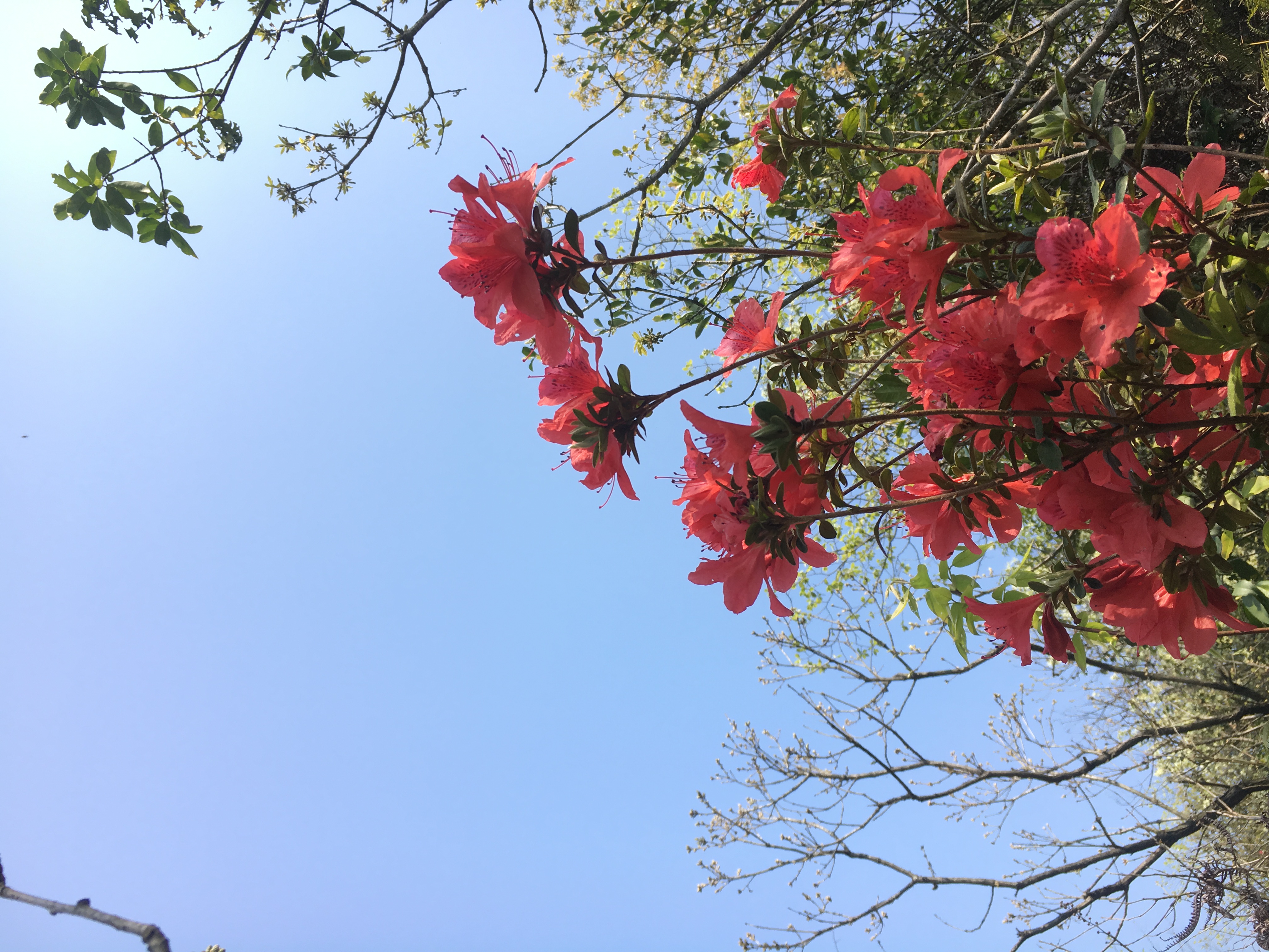 早禾冲水库风景区旅行图片 2