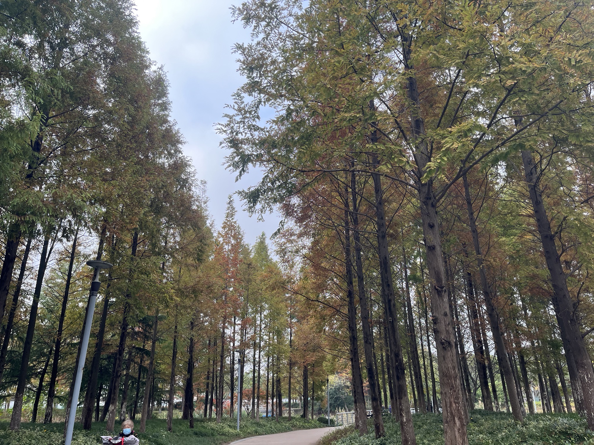沙洲湖旅行图片 1