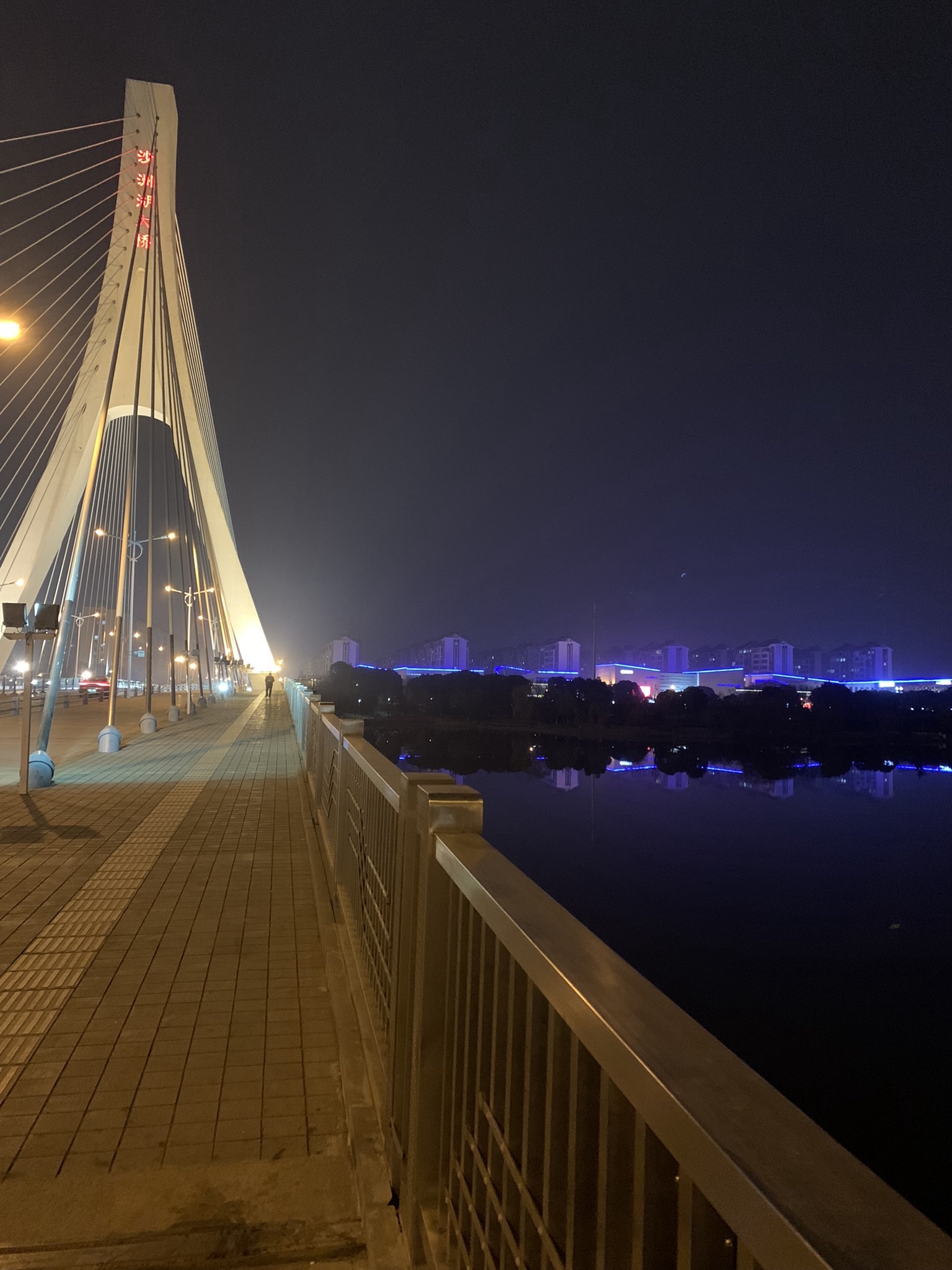 沙洲湖旅行图片 2