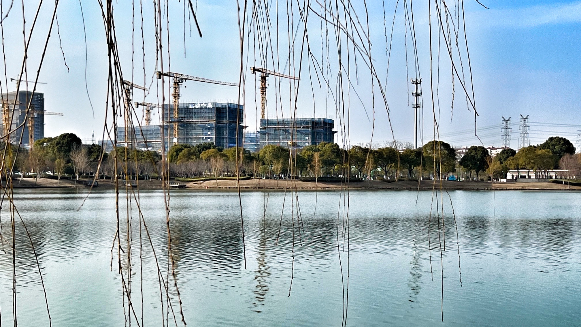 沙洲湖旅行图片 2
