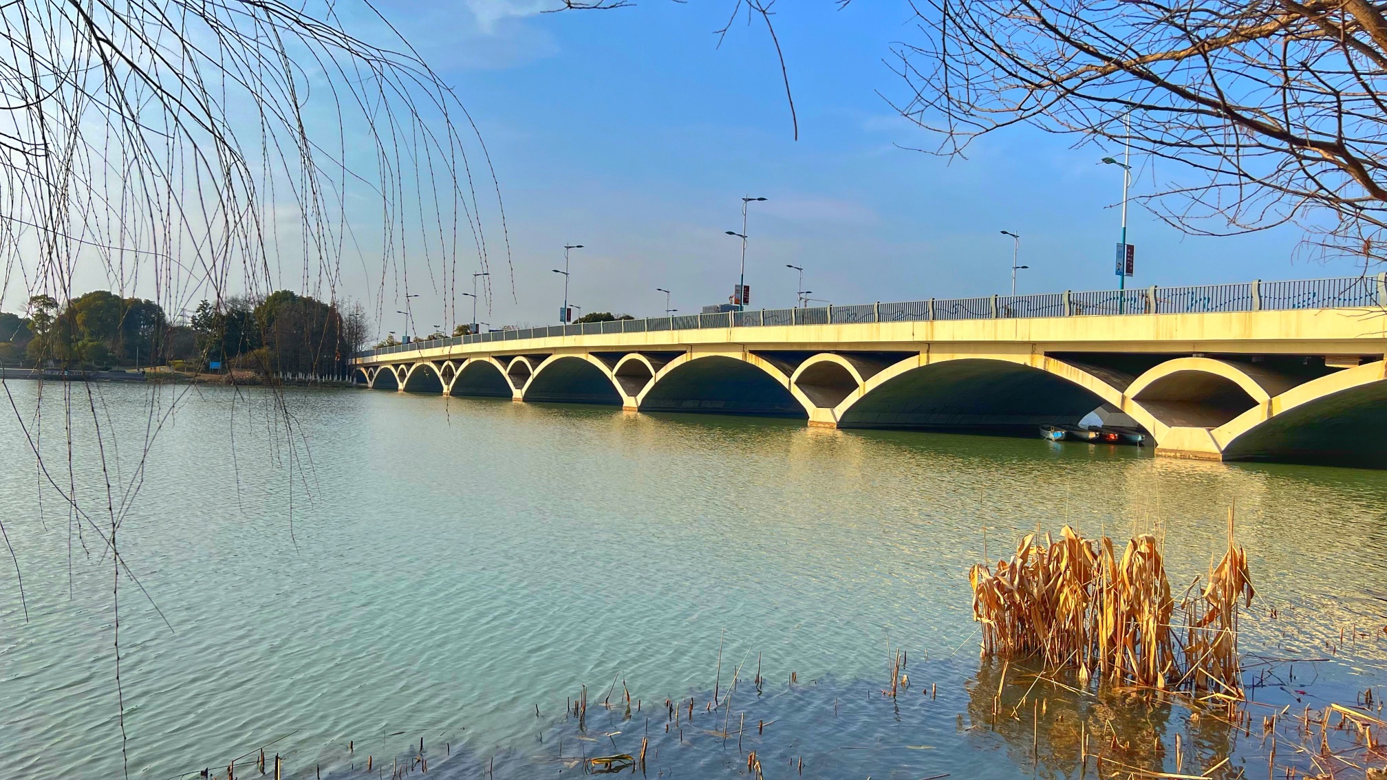 沙洲湖旅行图片 3