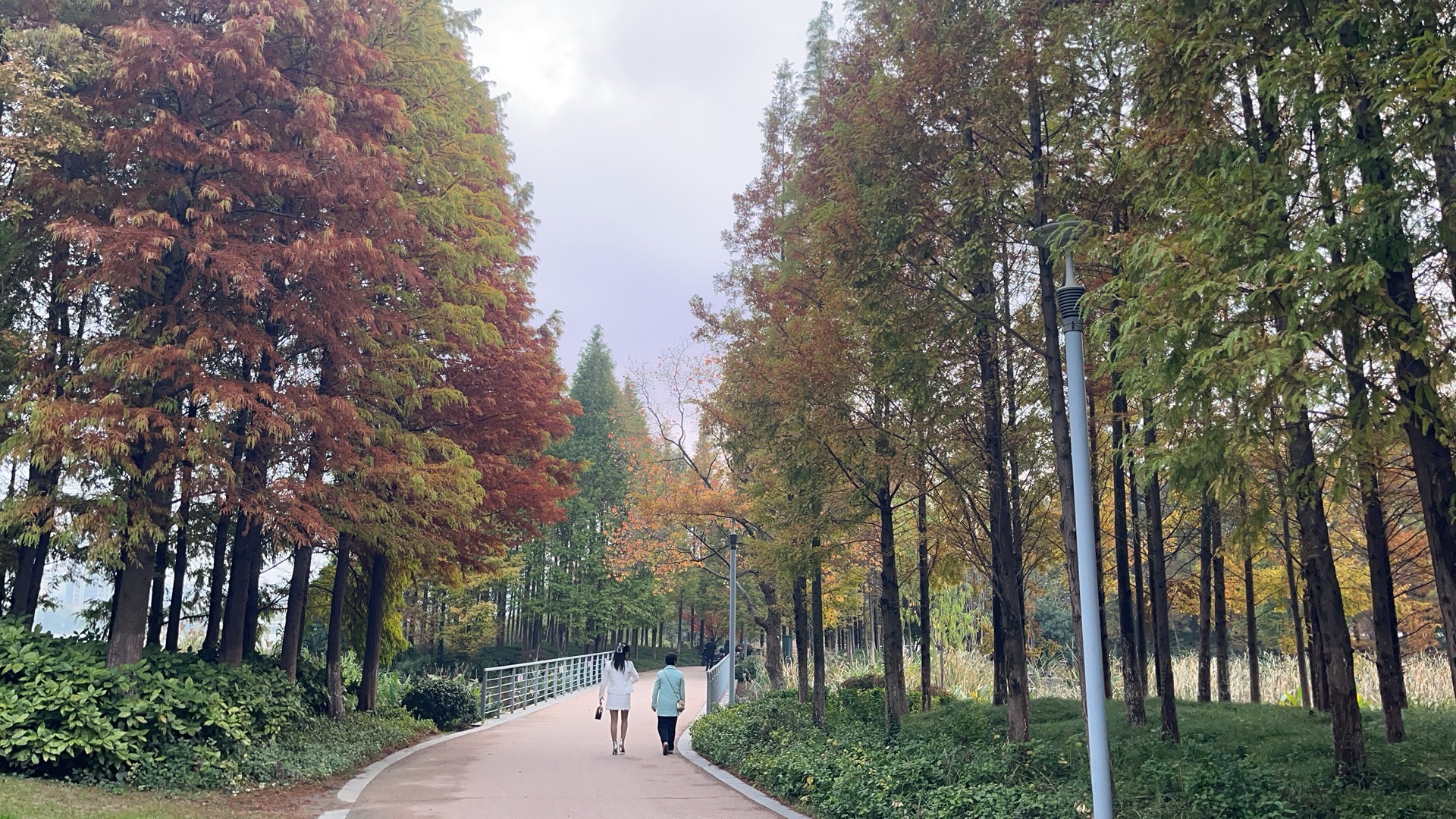 沙洲湖旅行图片 2