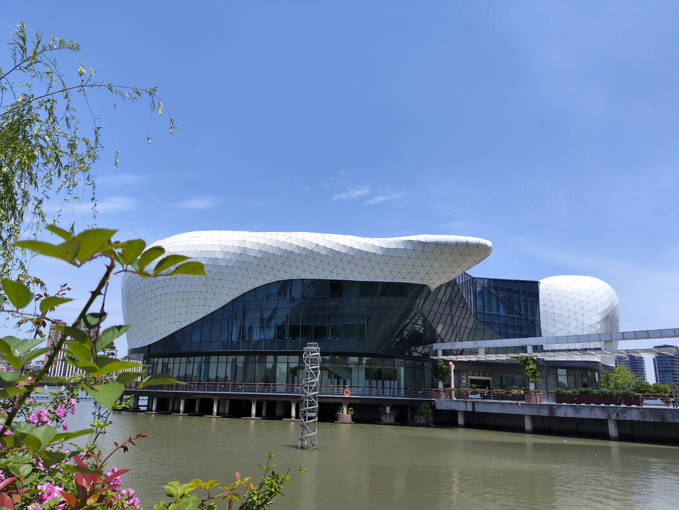天镜湖公园旅行图片 3