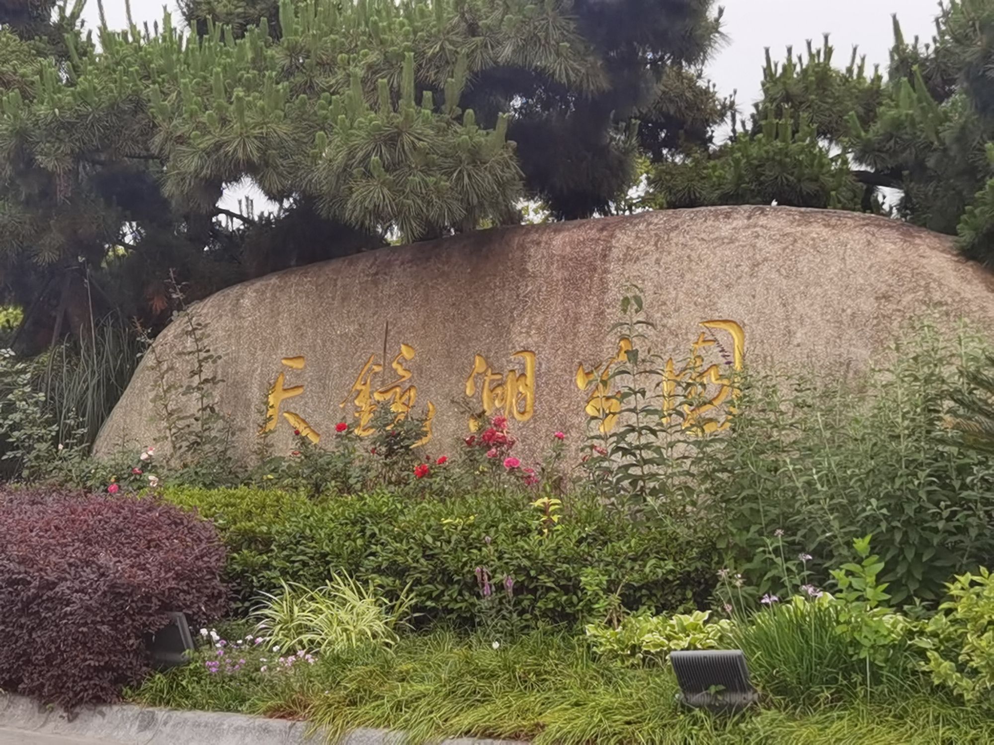 天镜湖公园旅行图片 1