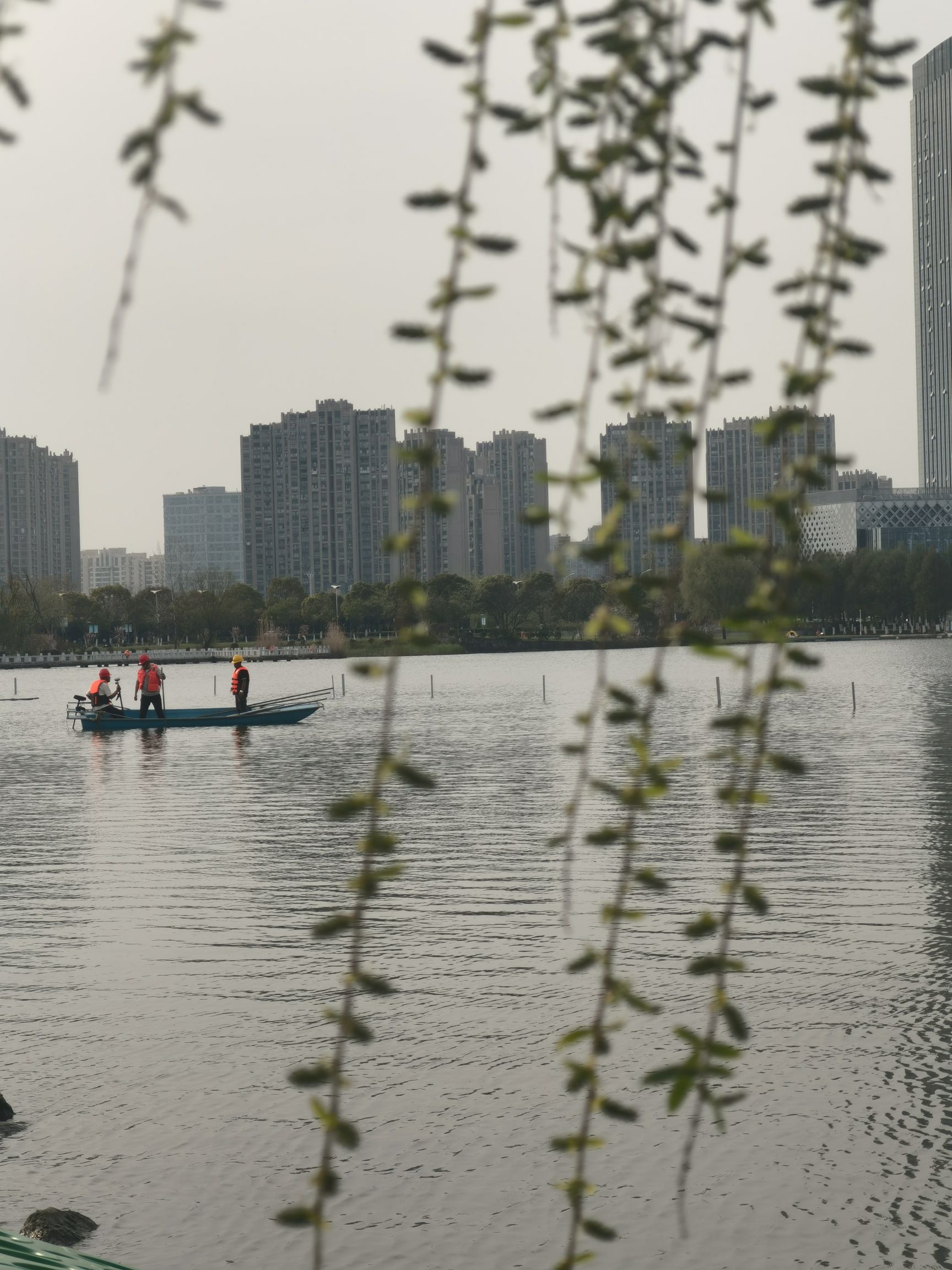 天镜湖公园旅行图片 3