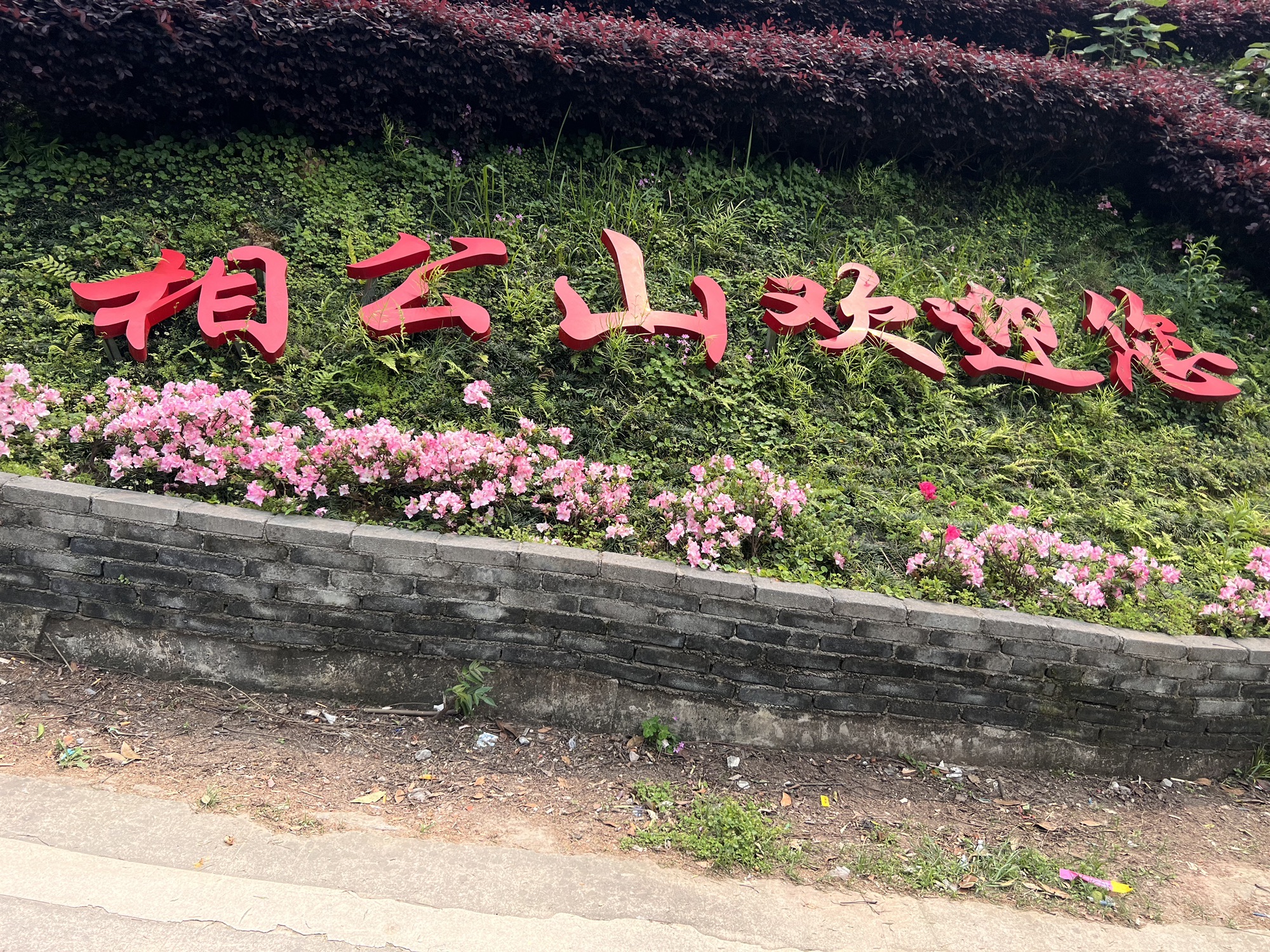相公山观景台旅行图片 3