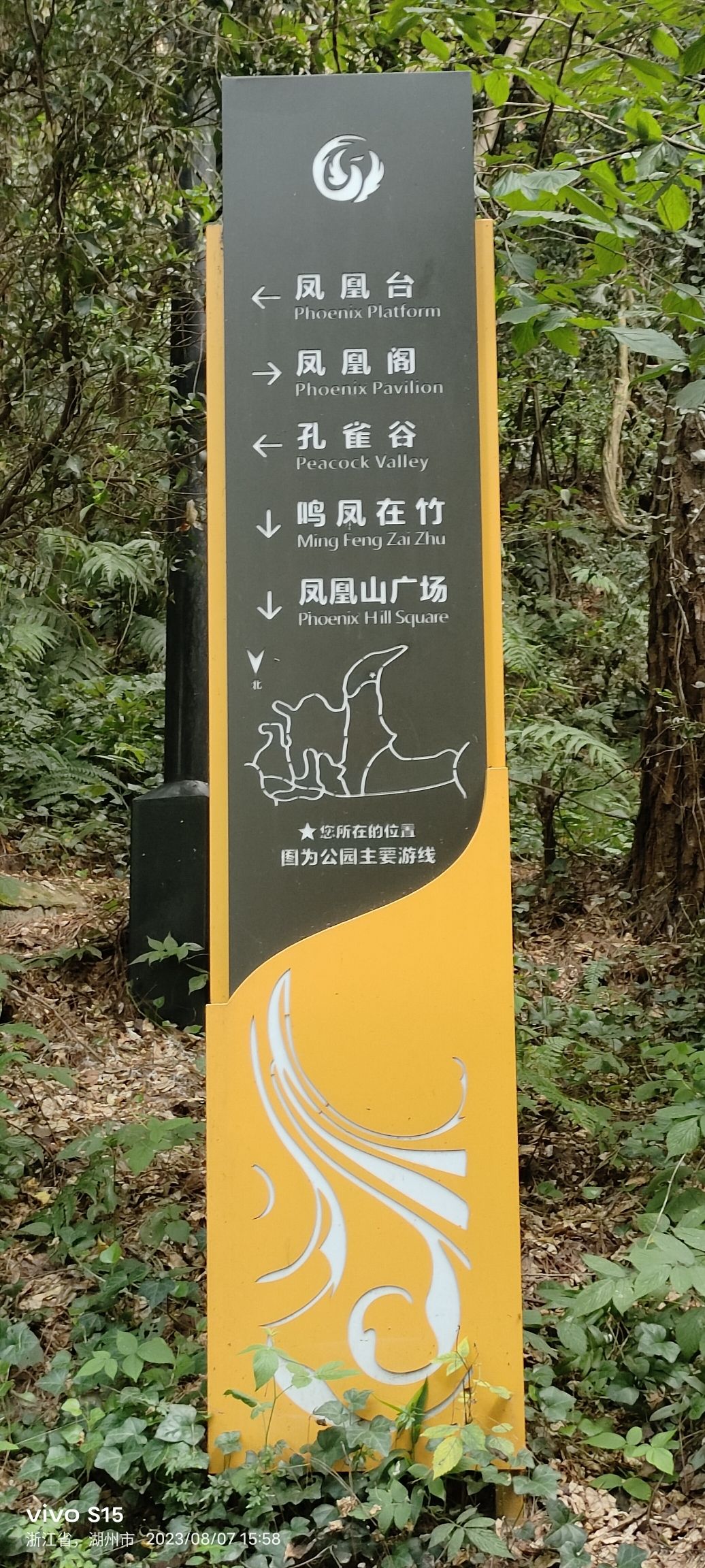 凤凰山森林公园