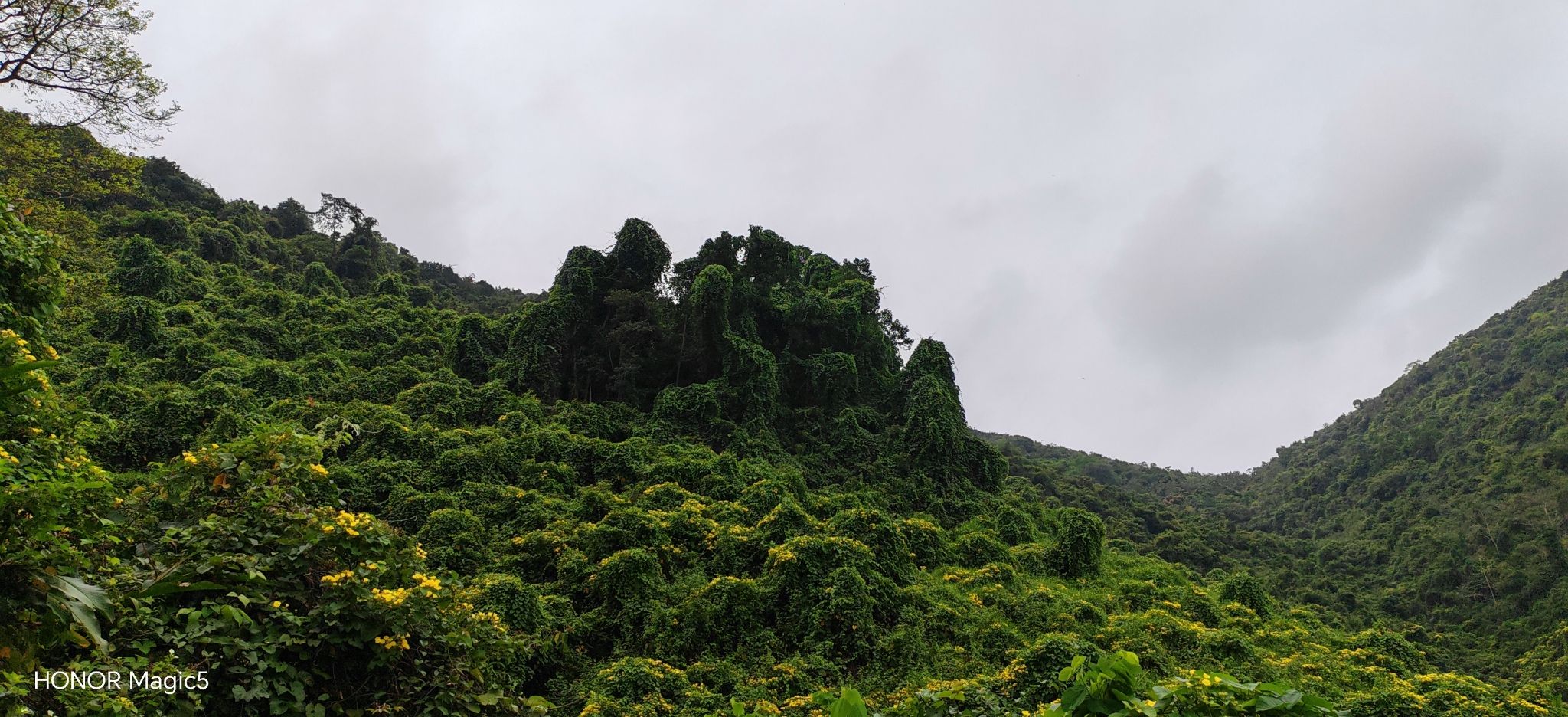 三亚司马岺自然生态公园