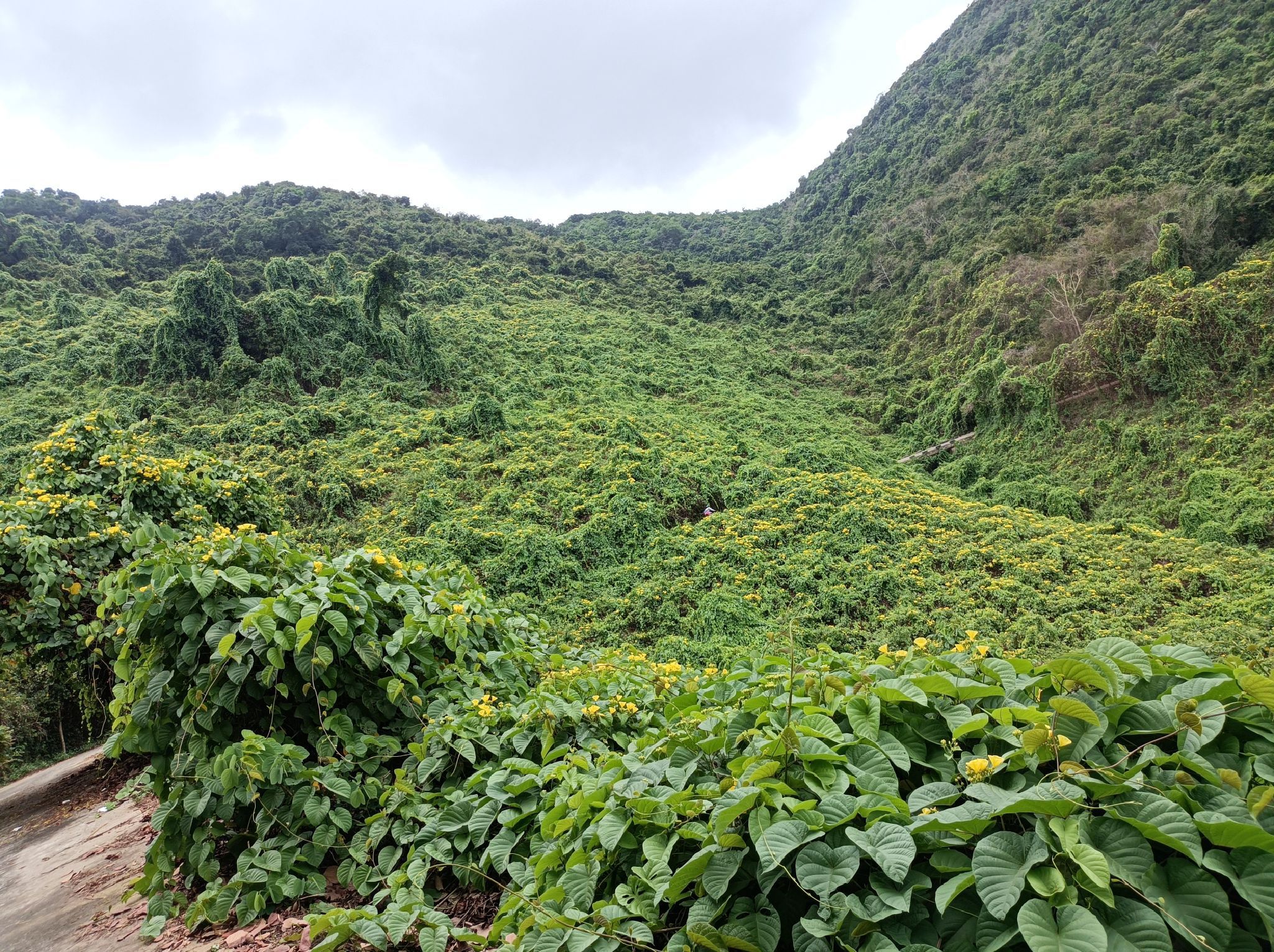 三亚司马岺自然生态公园
