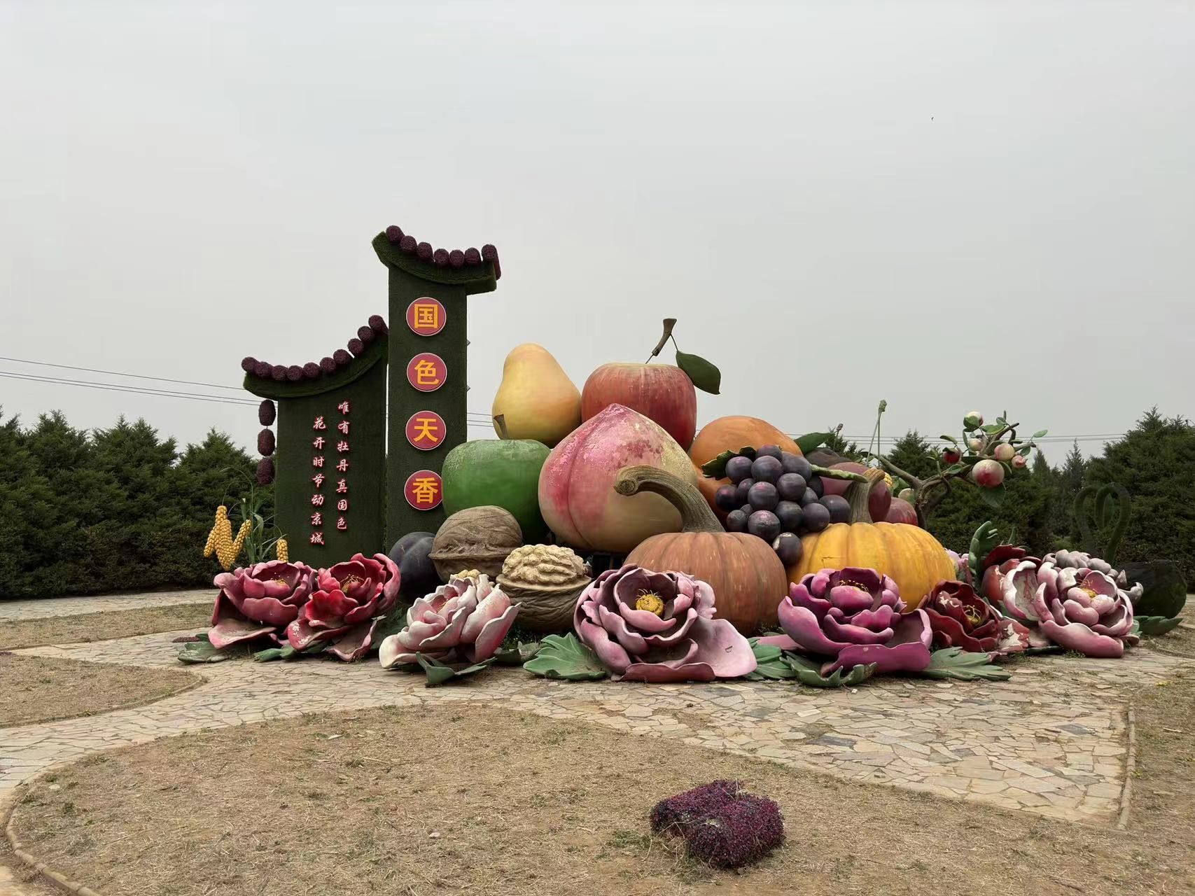 国色天香-牡丹园旅行图片 1