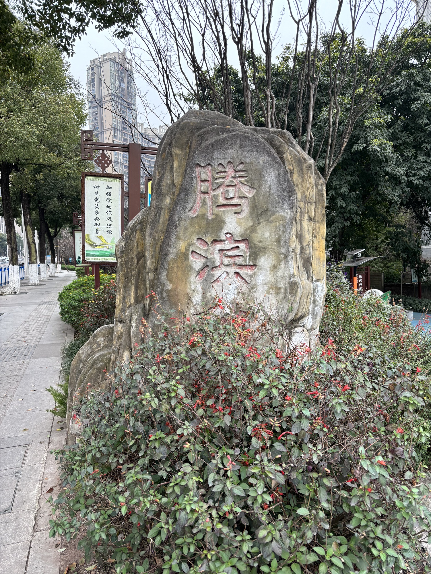 腾滨公园旅行图片 1