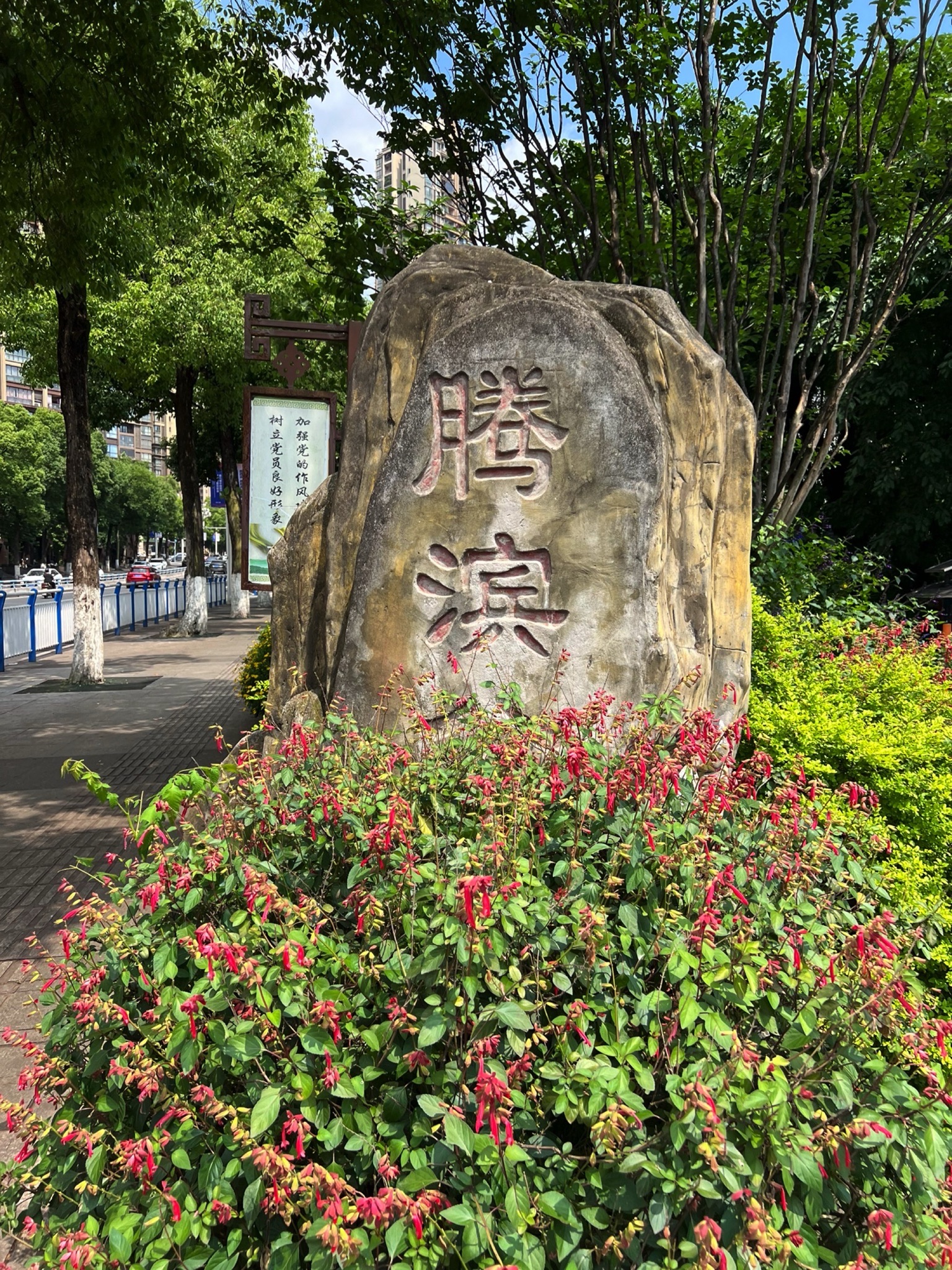 腾滨公园旅行图片 1