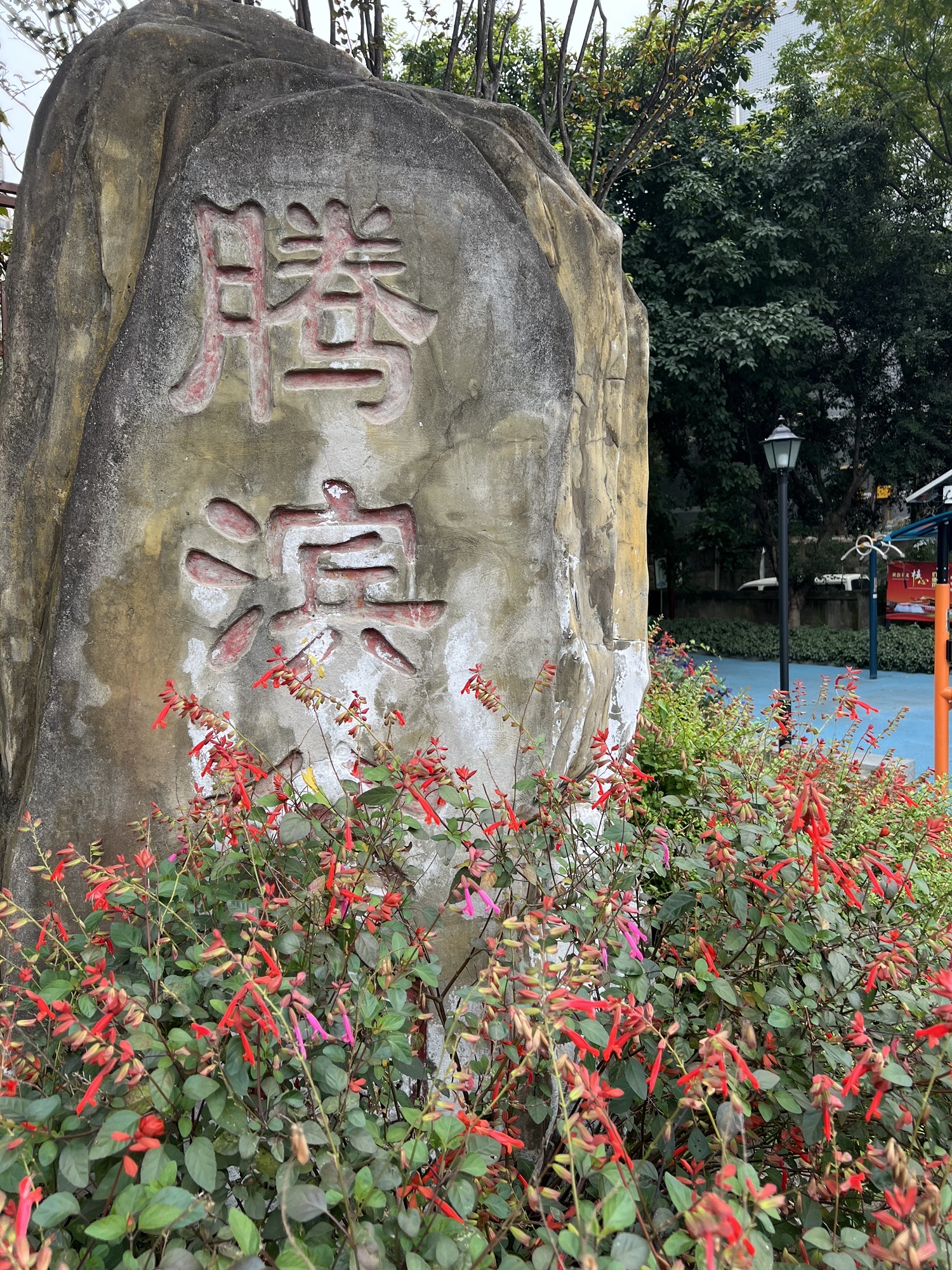 腾滨公园旅行图片 1