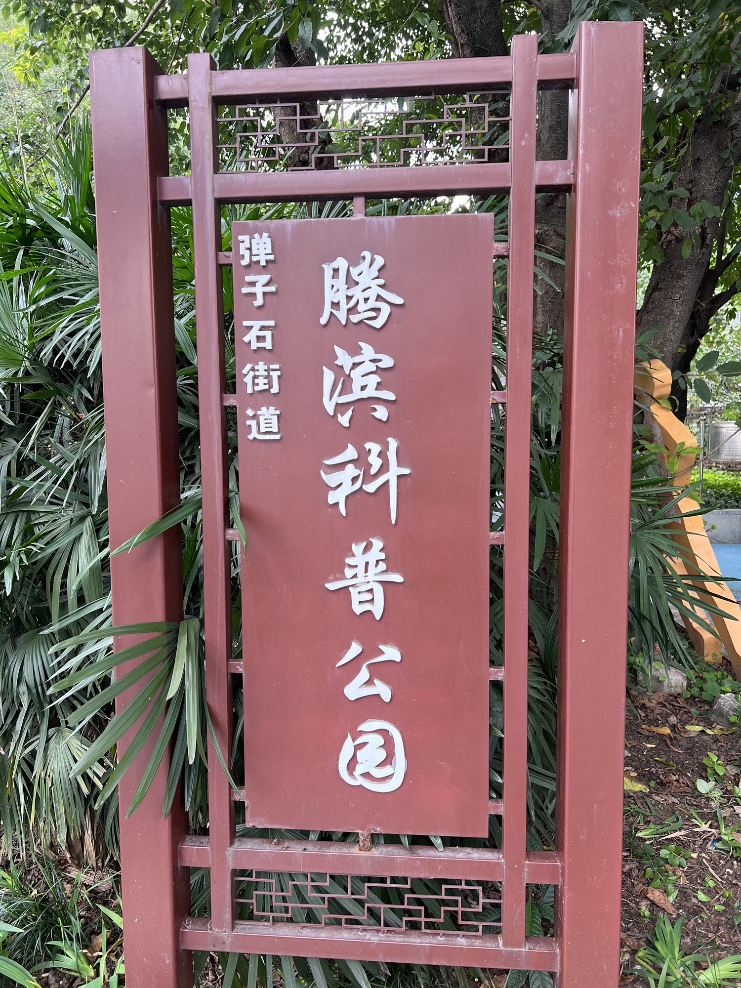 腾滨公园旅行图片 2