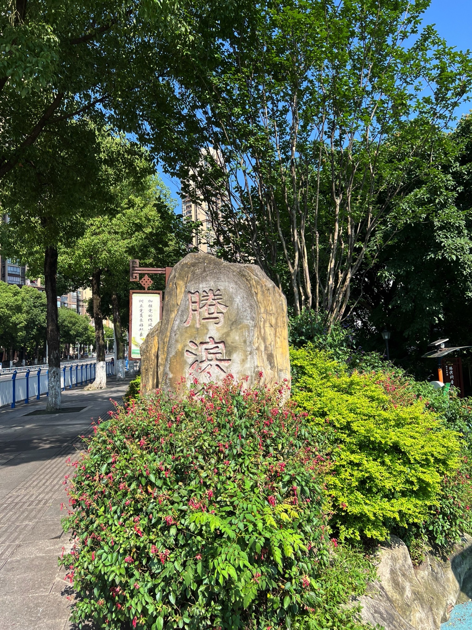 腾滨公园旅行图片 1
