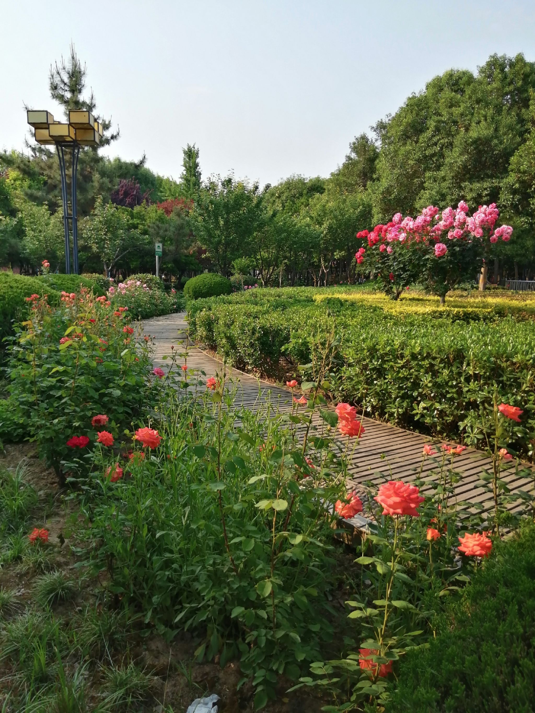法治公园(金屏路)旅行图片 2