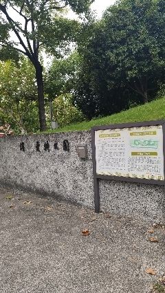 滨江爱特公园旅行图片 1