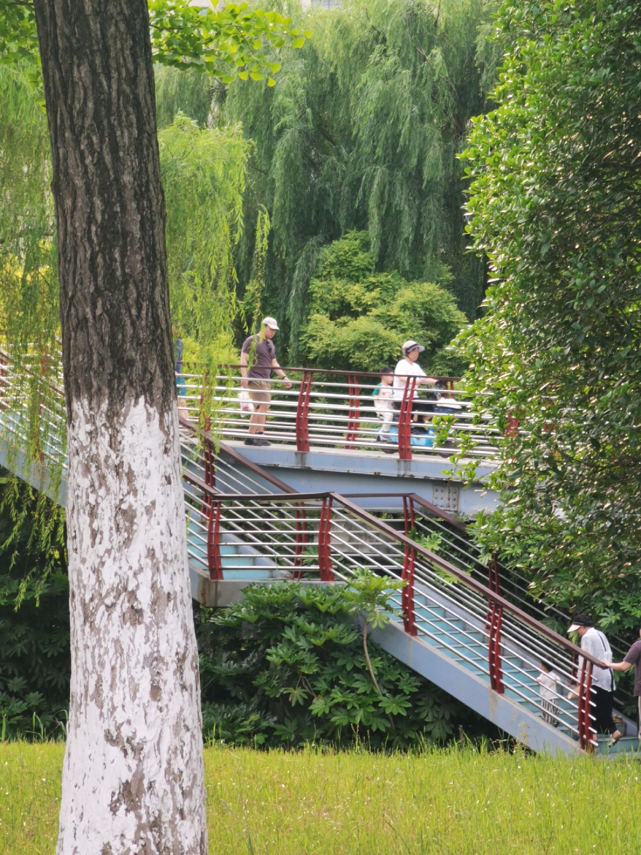 滨河公园(朝阳西路)旅行图片 3