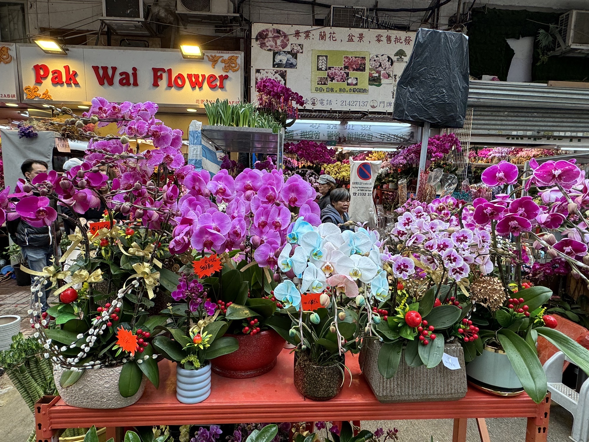 Mong Kok Flower Market
