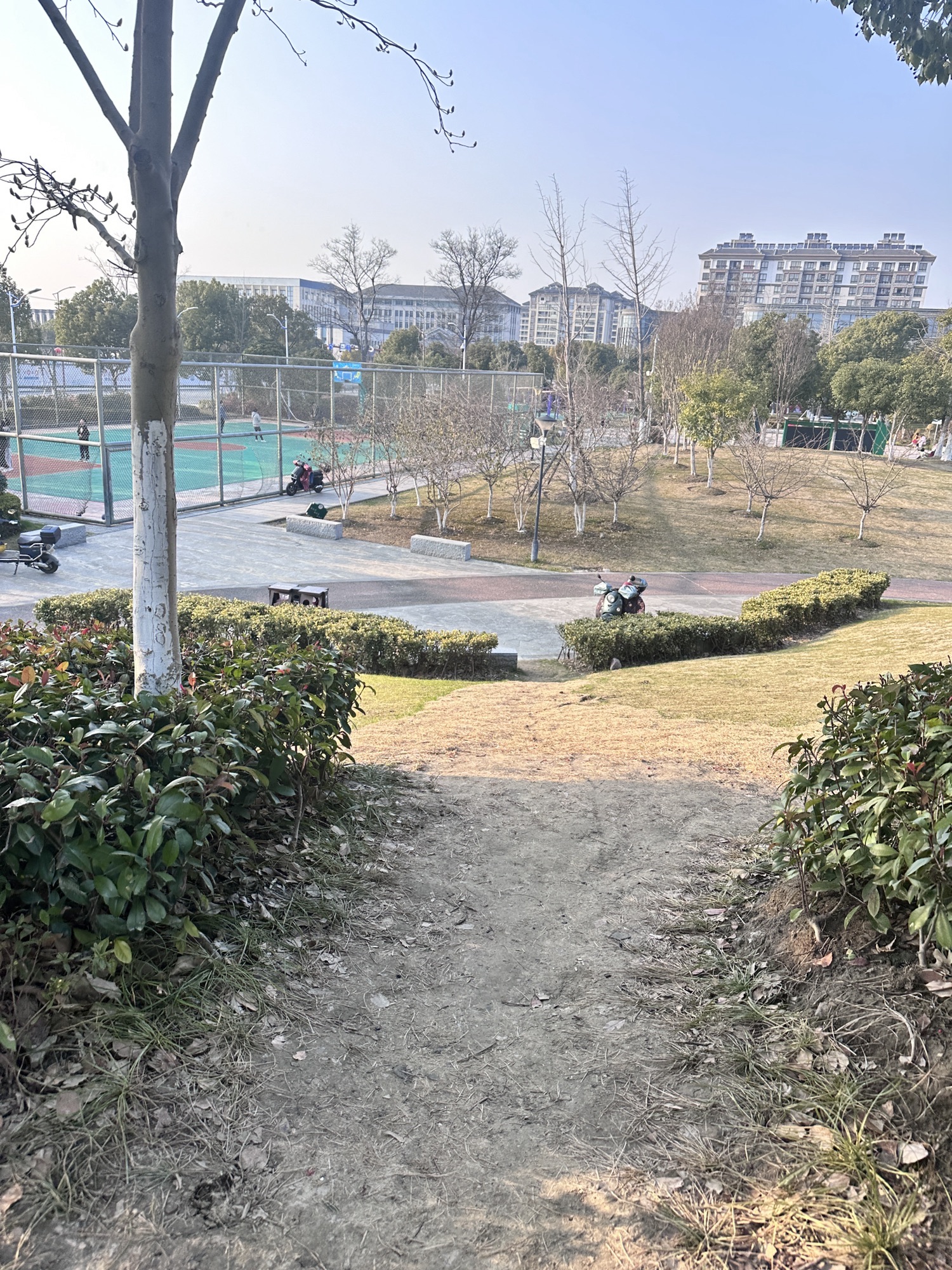 湘家荡七星文化公园旅行图片 3