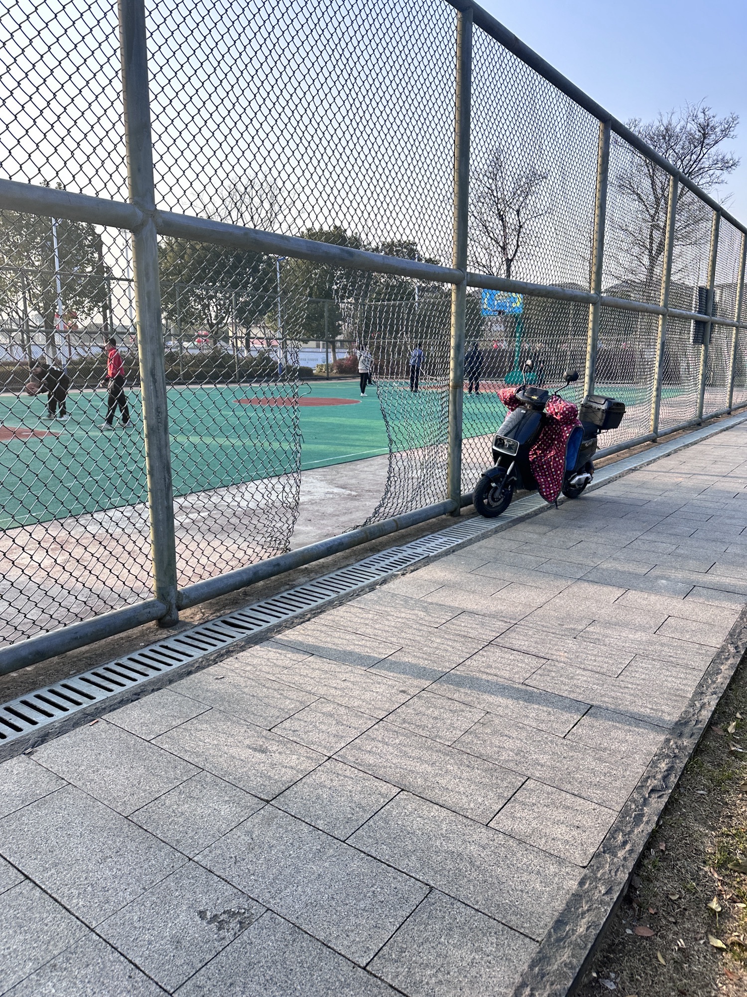 湘家荡七星文化公园旅行图片 2