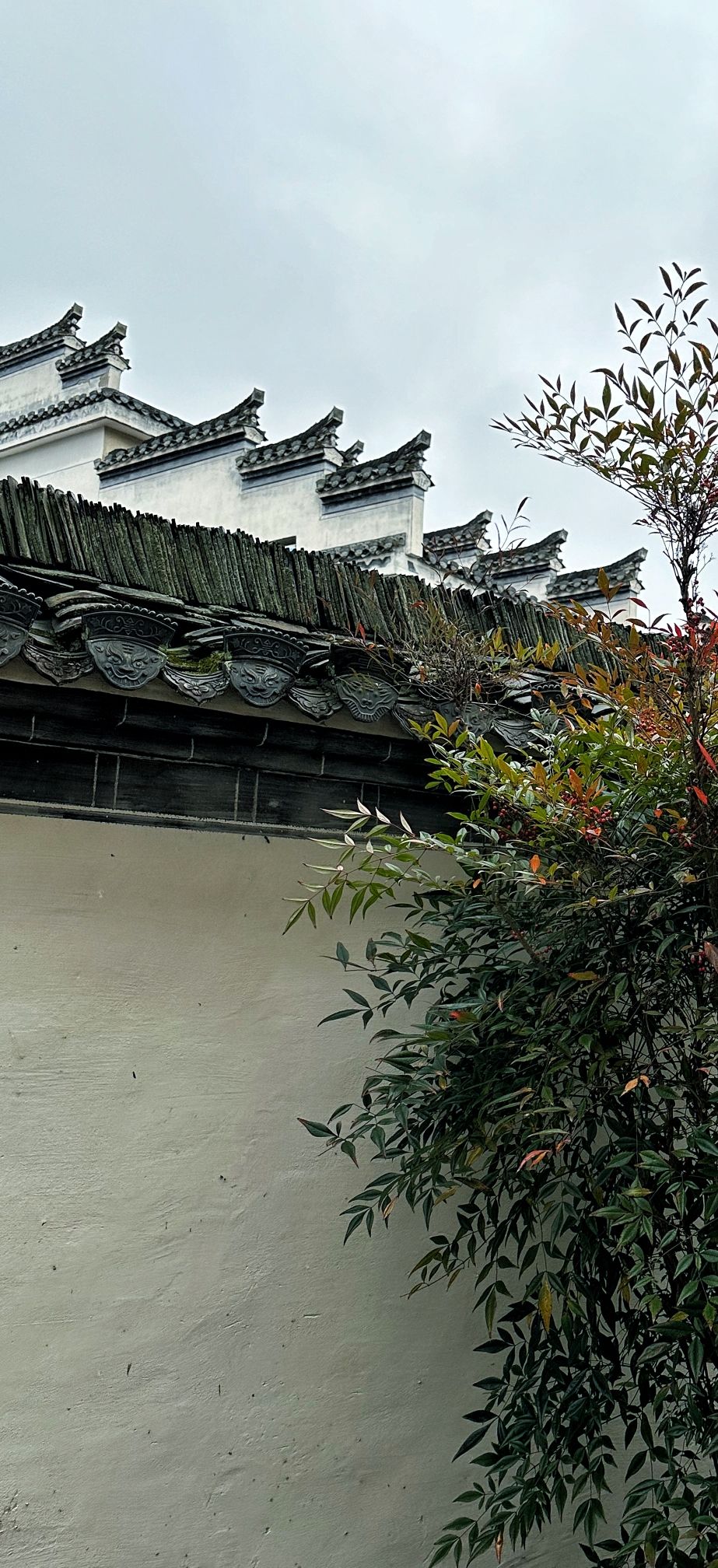 朱旺景区旅行图片 2