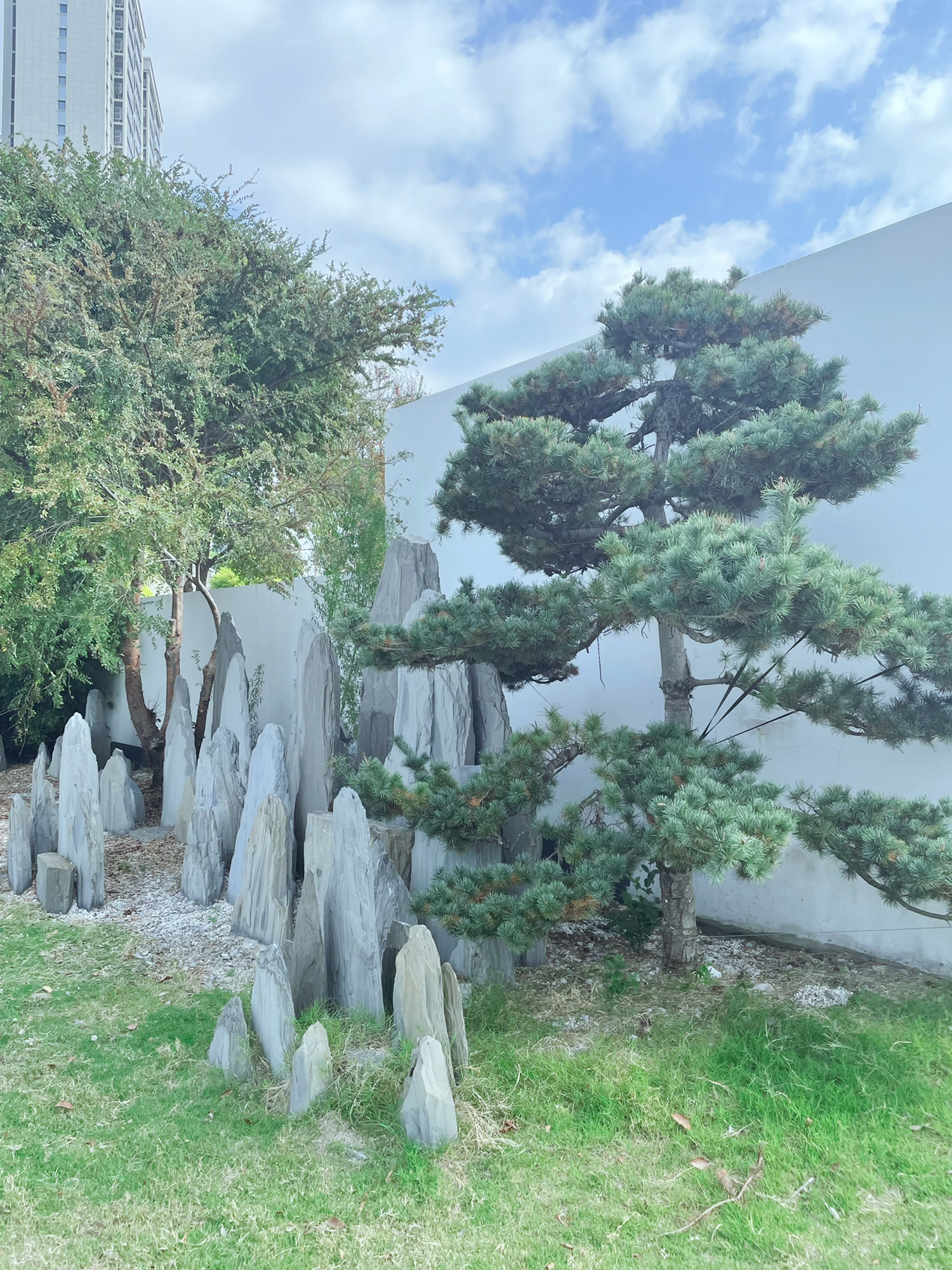 海安慈善文化广场旅行图片 3