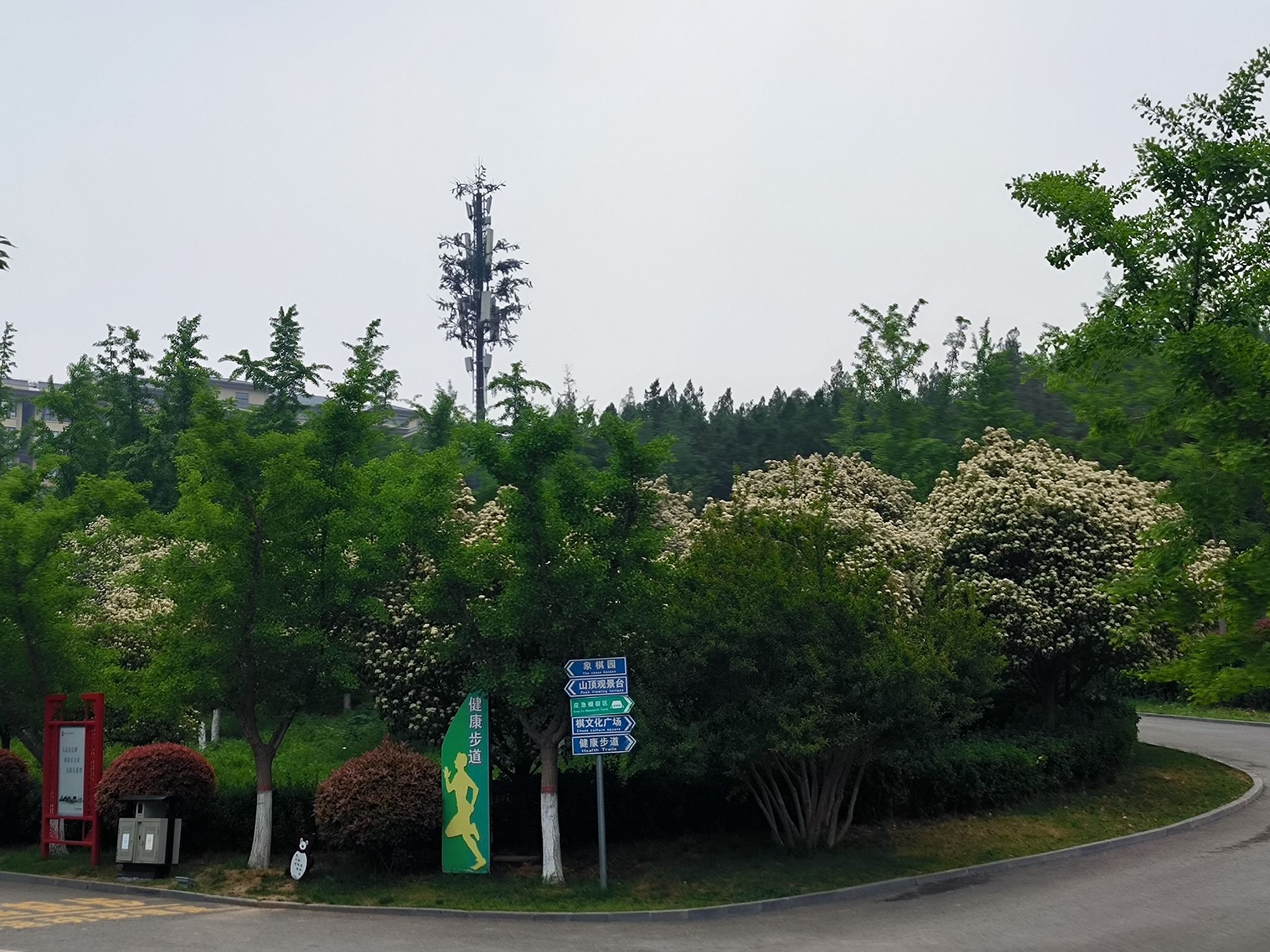 棋盘山公园旅行图片 3