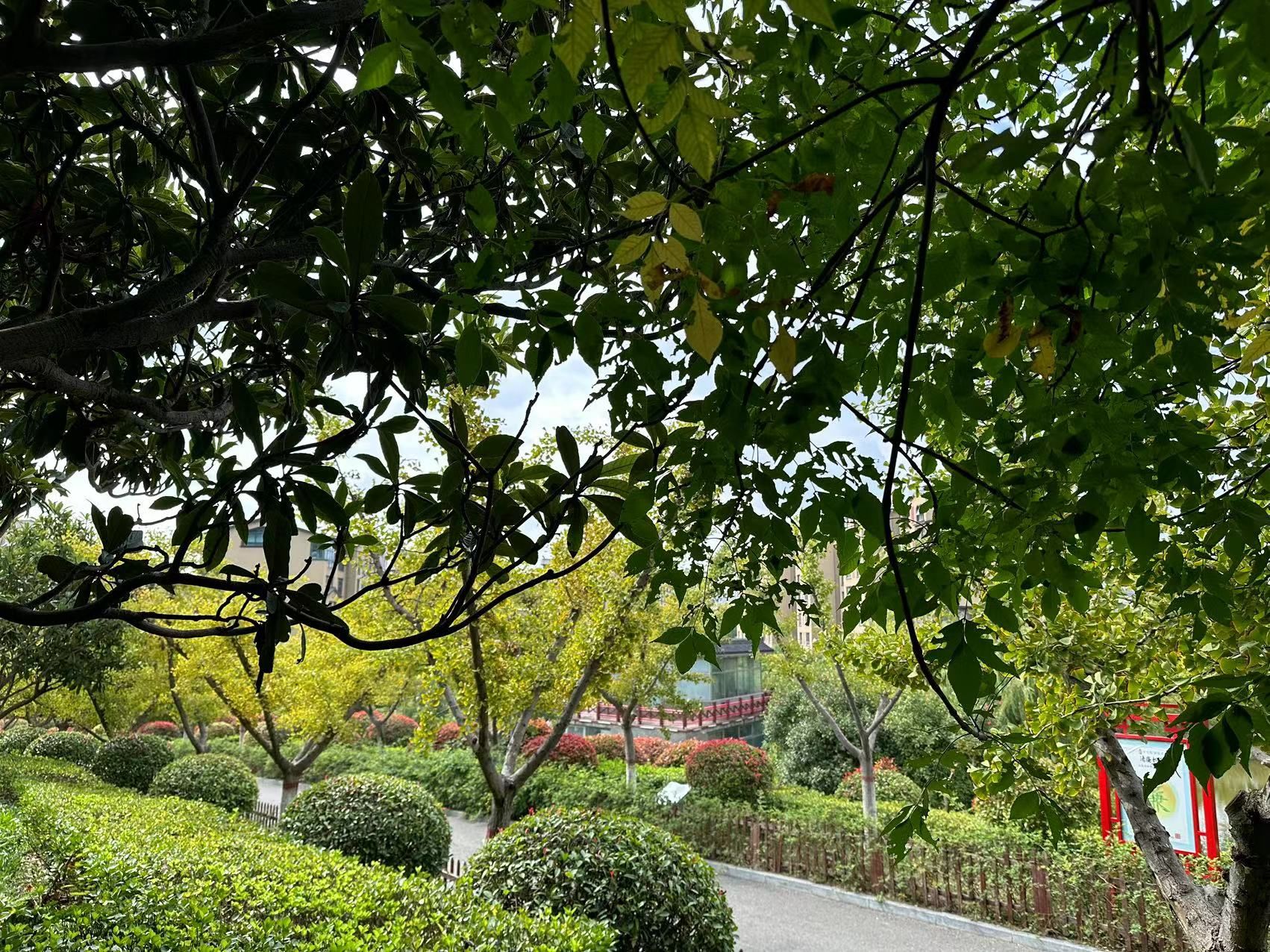 棋盘山公园旅行图片