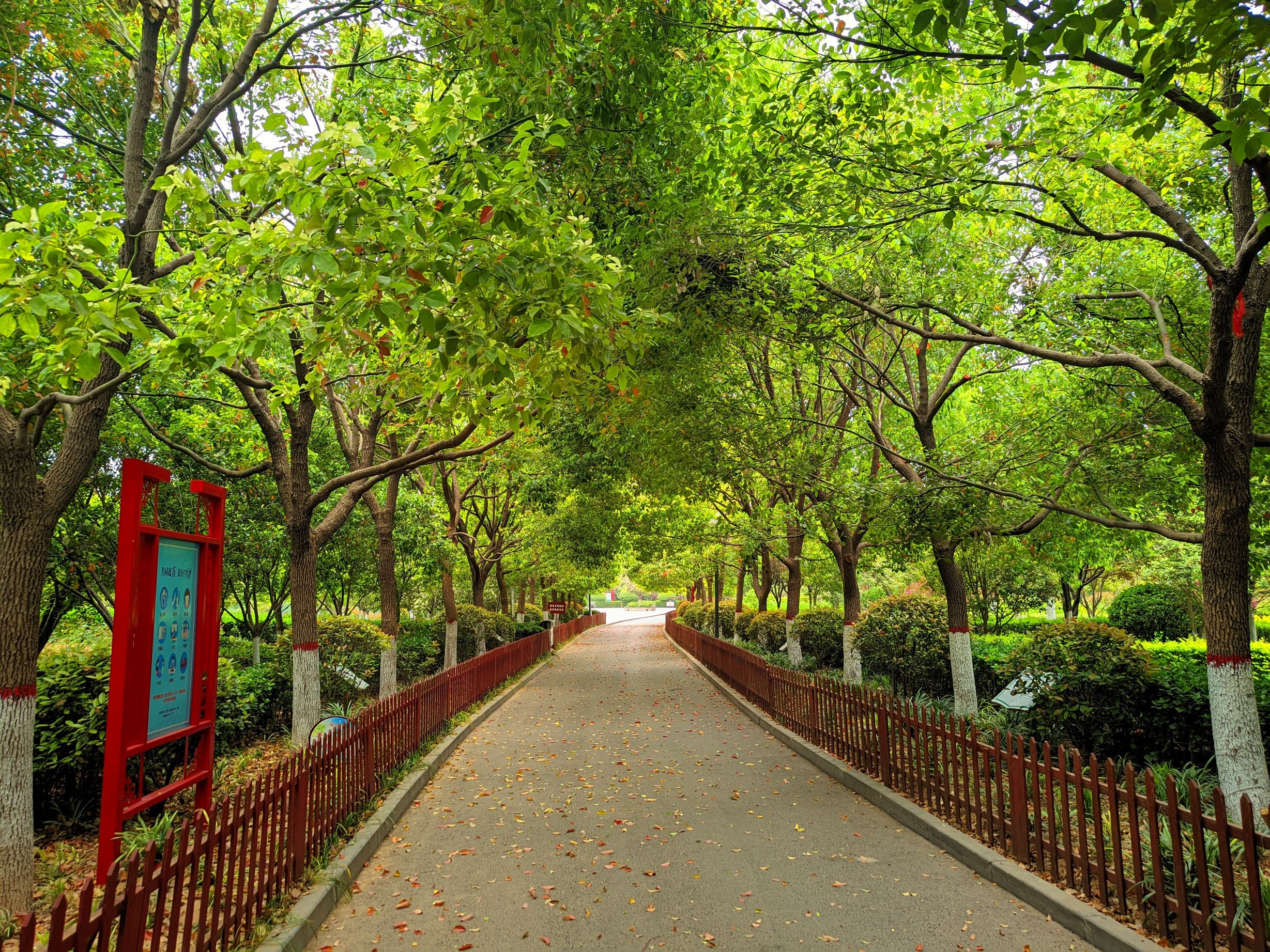 棋盘山公园旅行图片