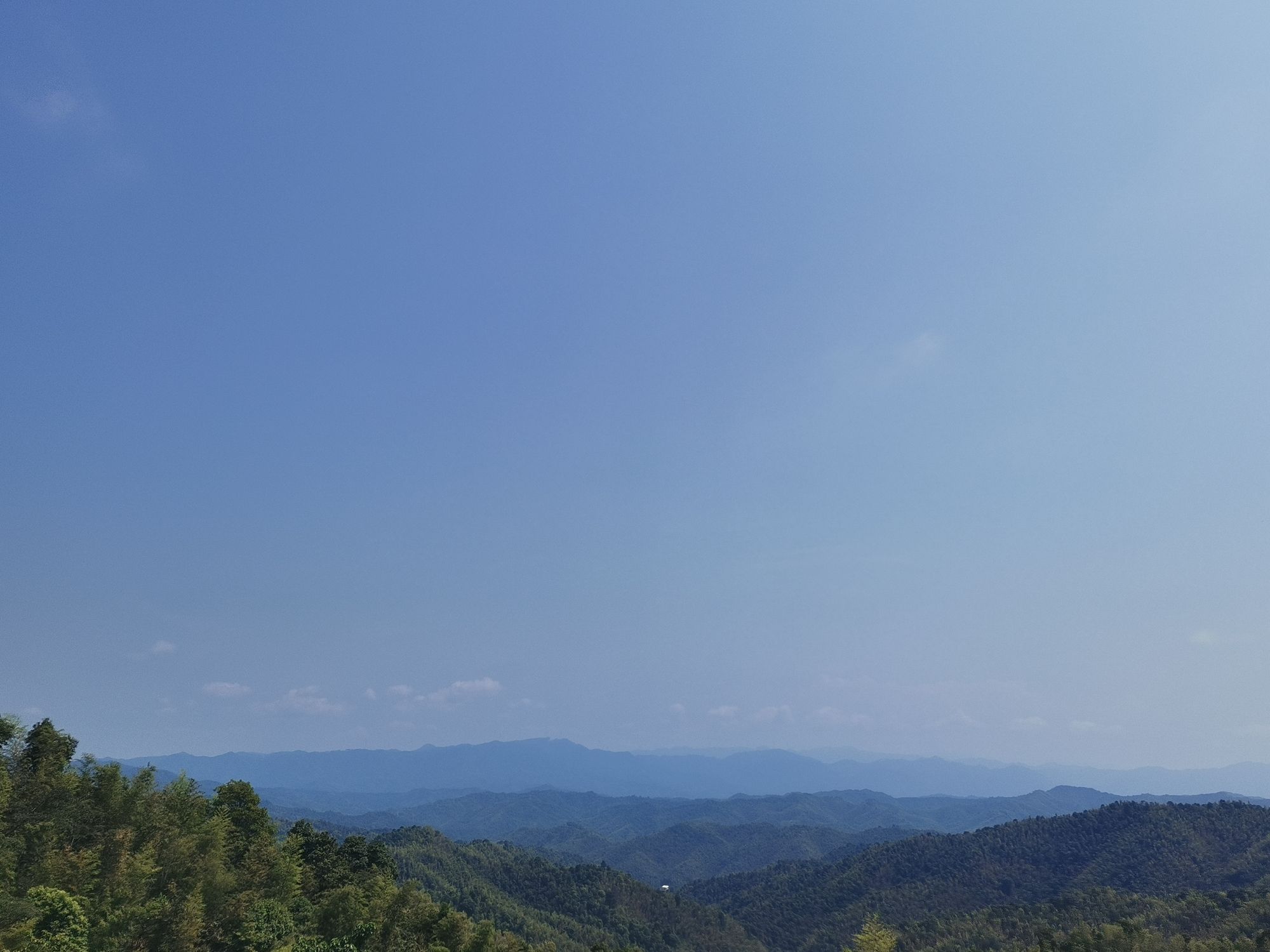 生态公园旅行图片 1