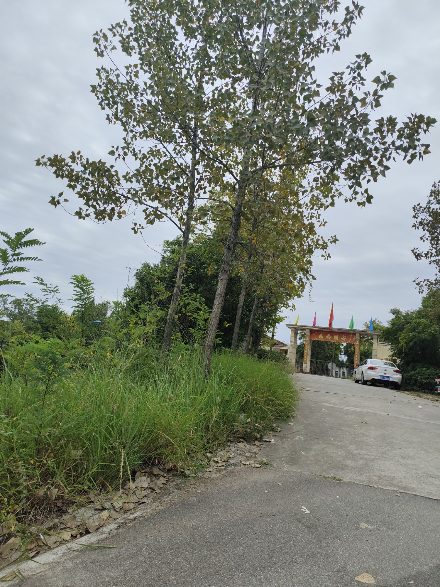 长卿山森林公园旅行图片 1