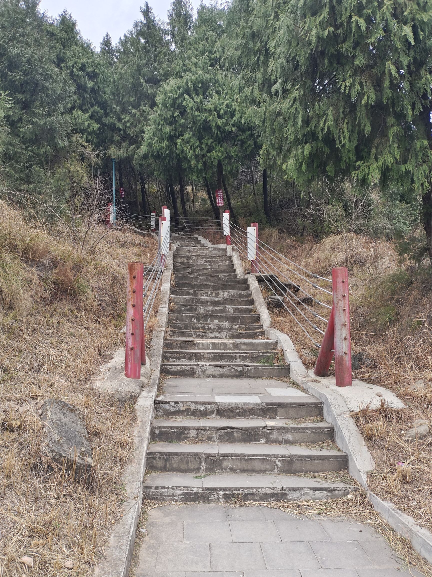 长卿山森林公园旅行图片 1