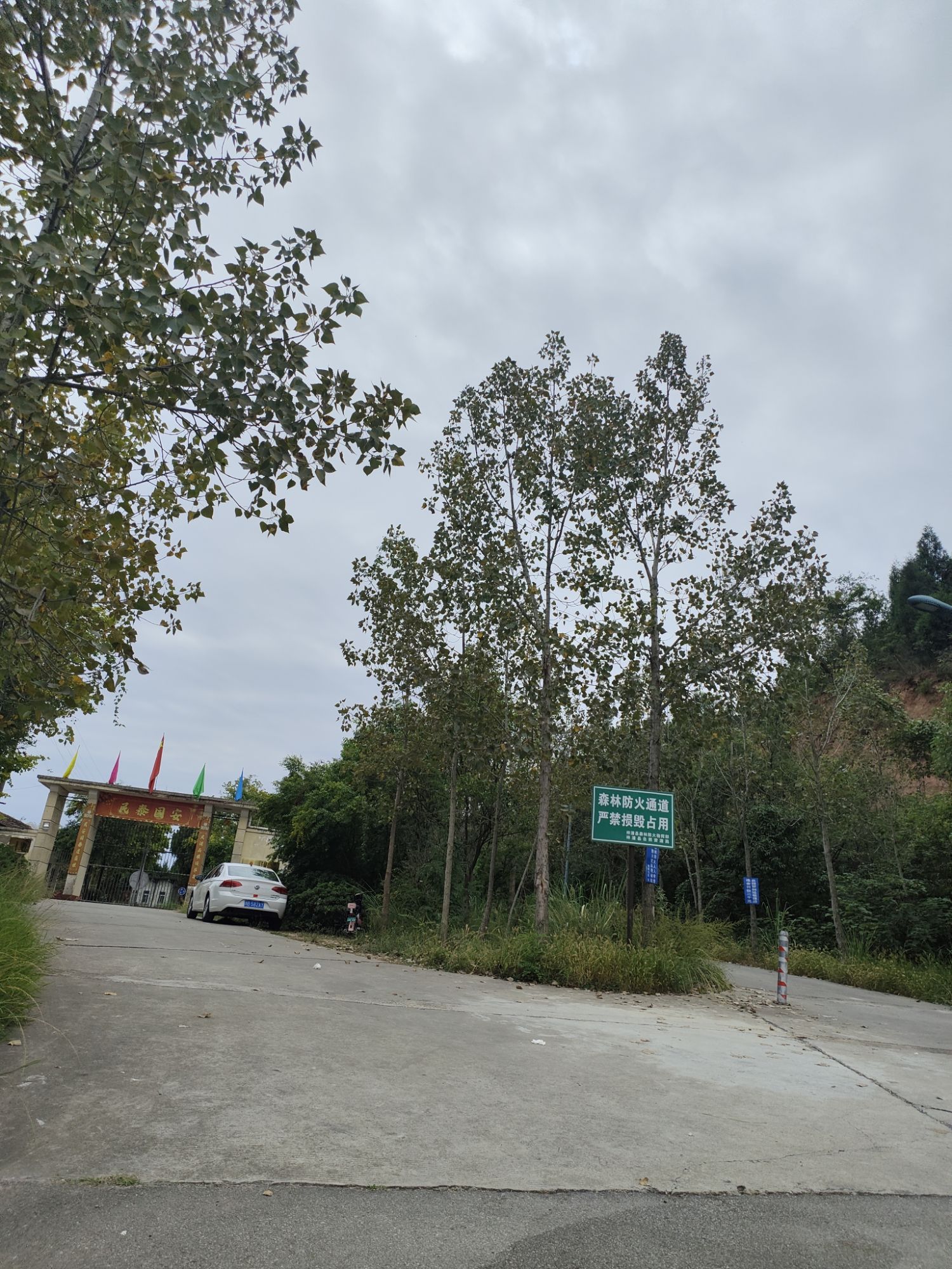 长卿山森林公园旅行图片 2