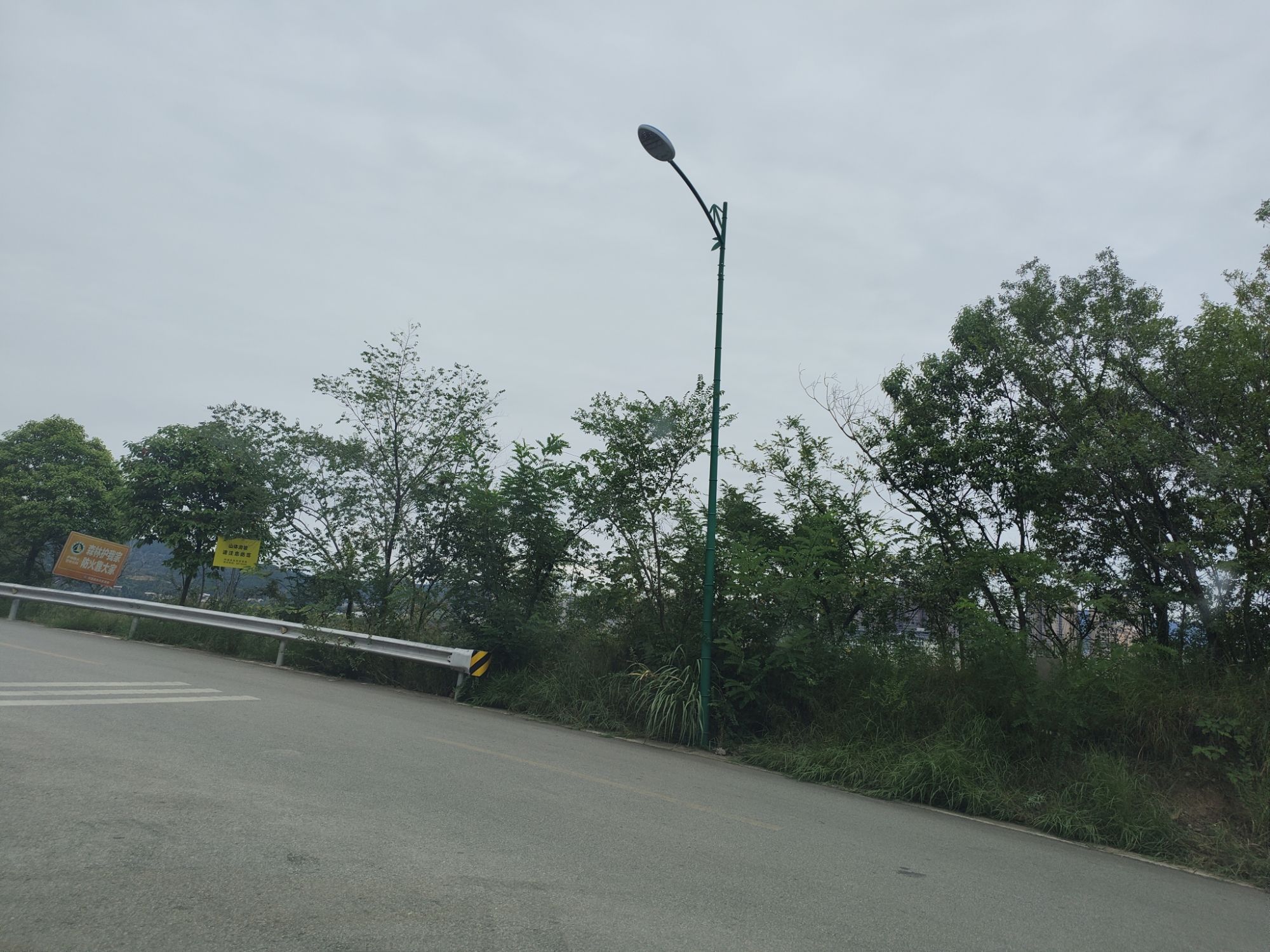 长卿山森林公园旅行图片 3