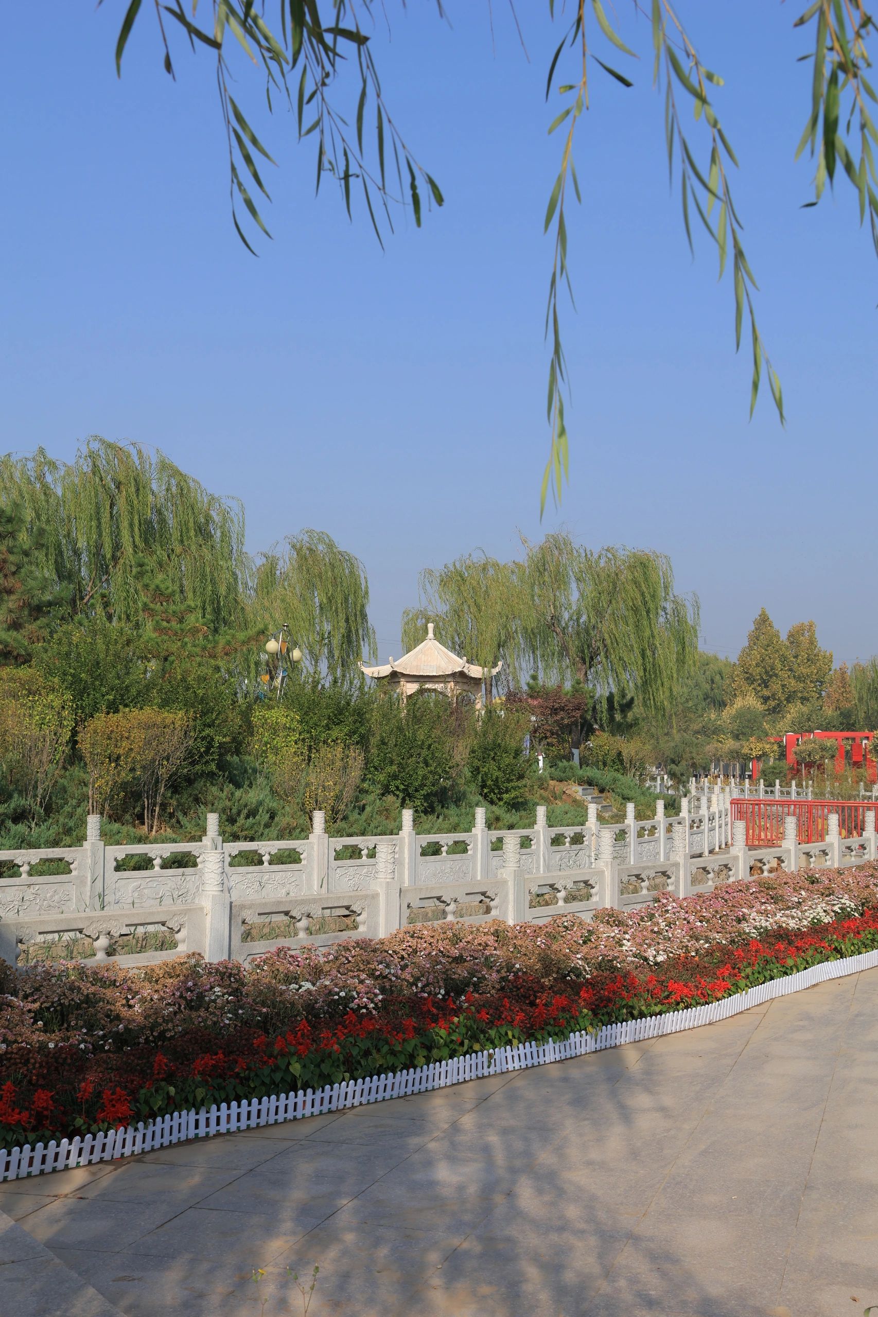 龙湖公园旅行图片 2