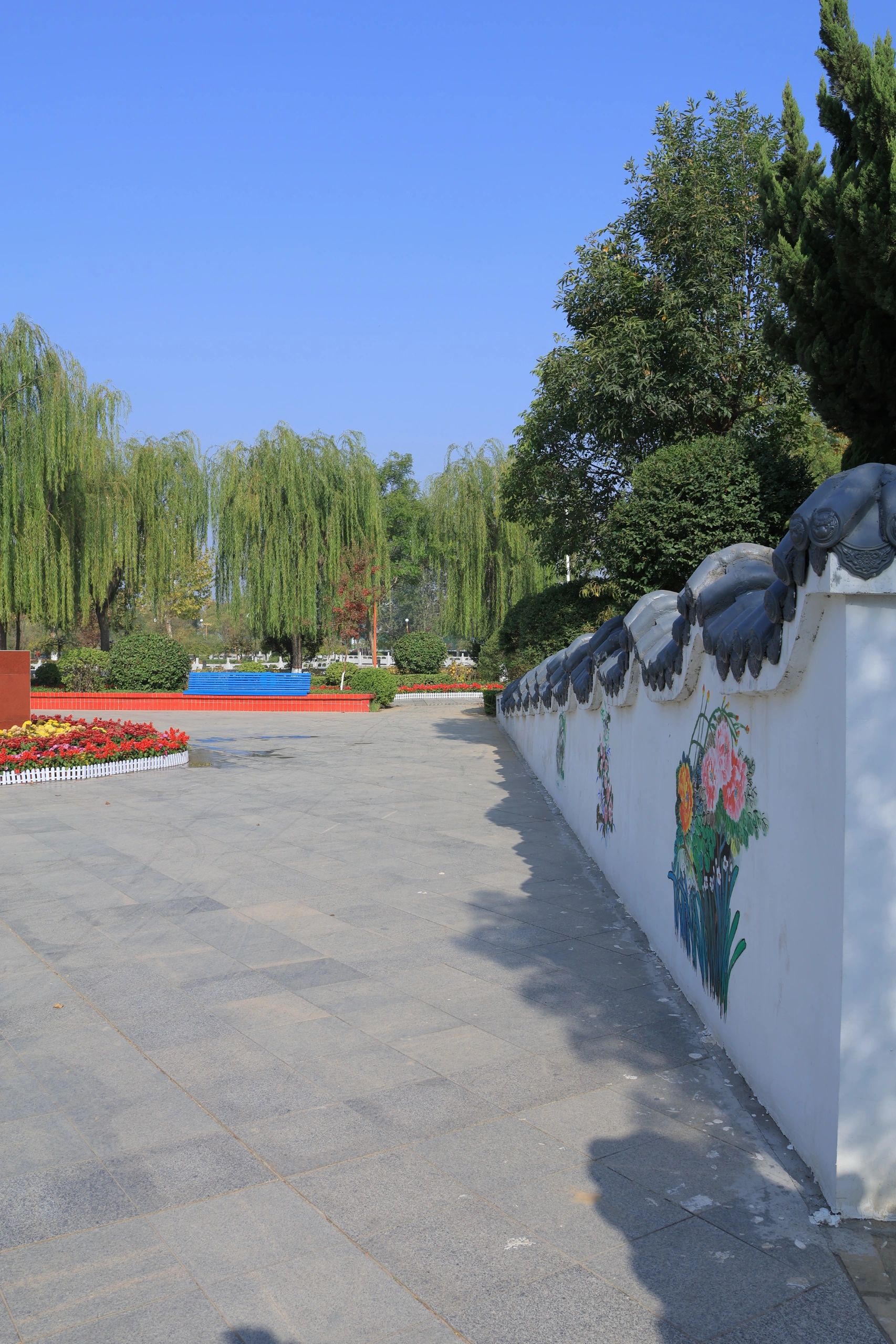 龙湖公园旅行图片 3