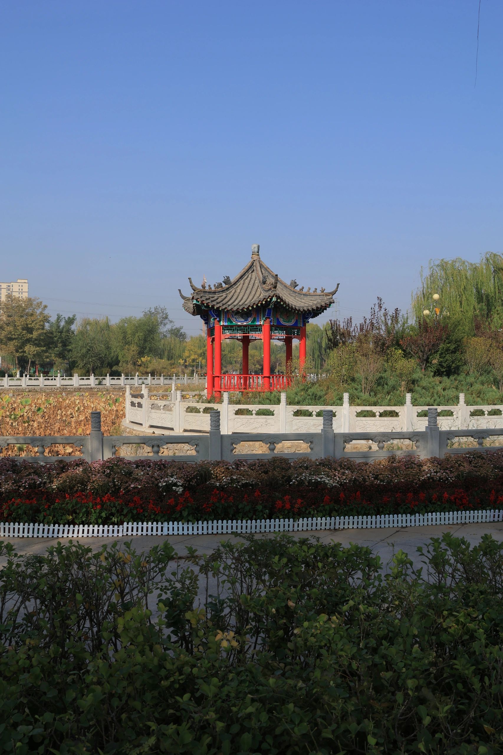 龙湖公园旅行图片 1
