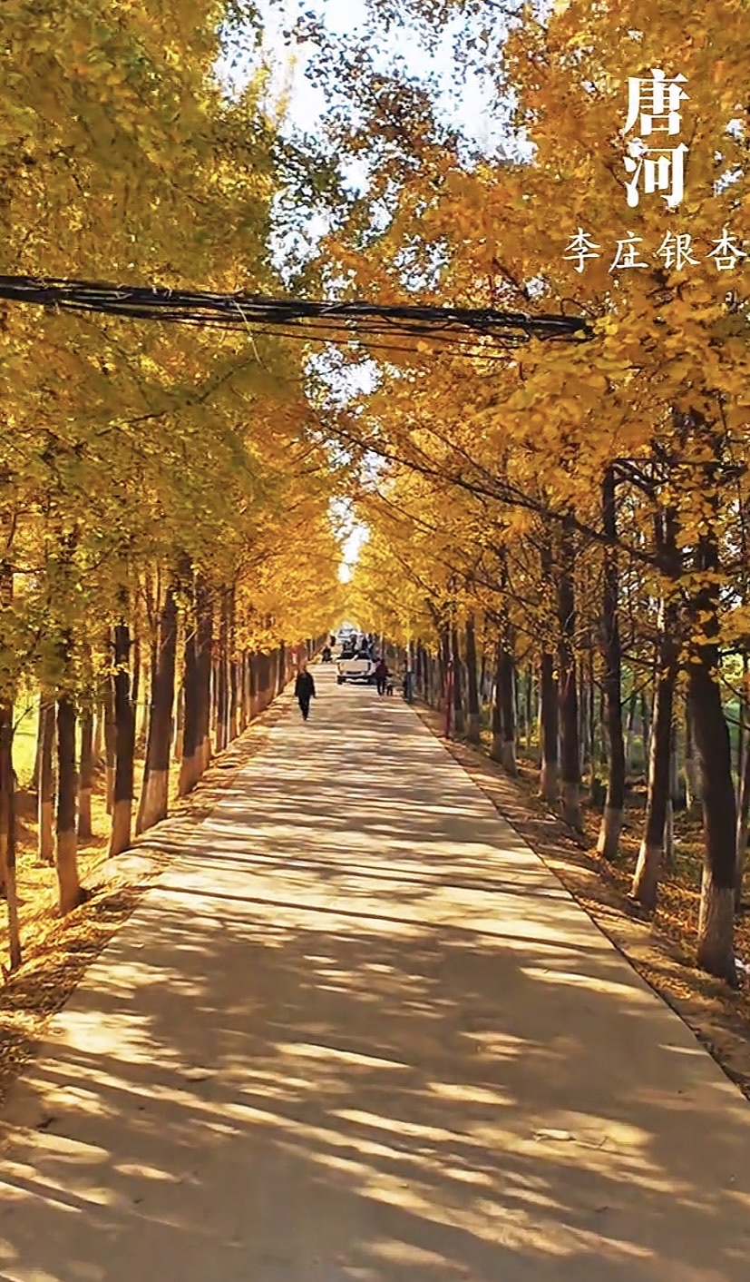 李庄村文体广场旅行图片 2