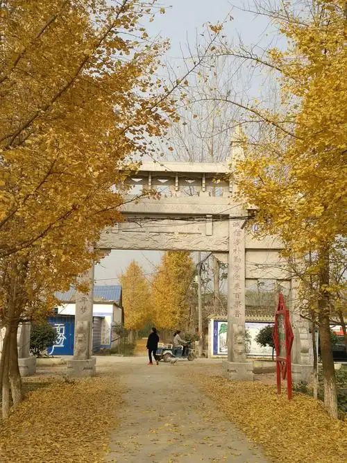 李庄村文体广场旅行图片 2