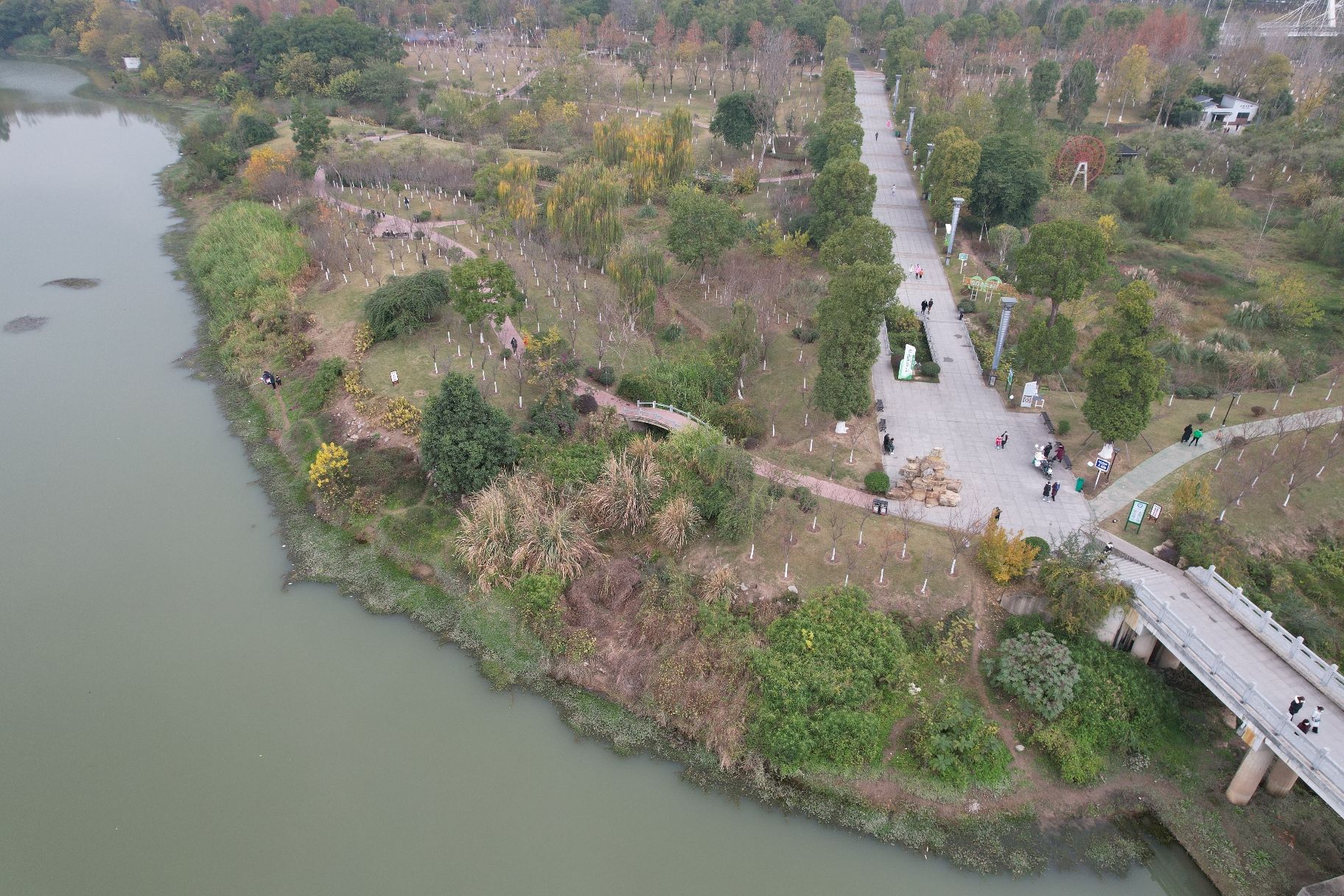 威远湿地公园旅行图片 2