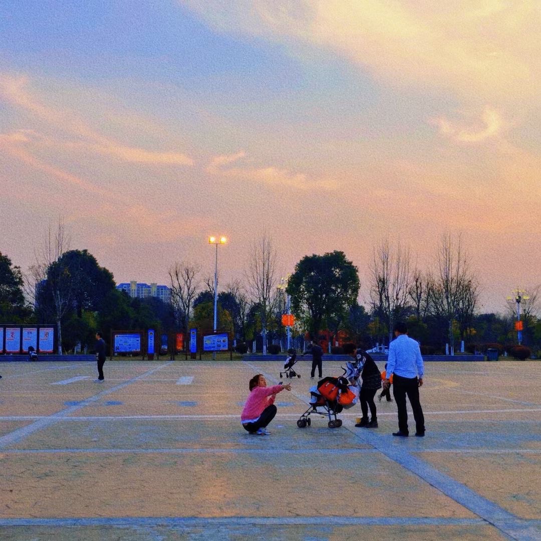 白天鹅公园旅行图片 2