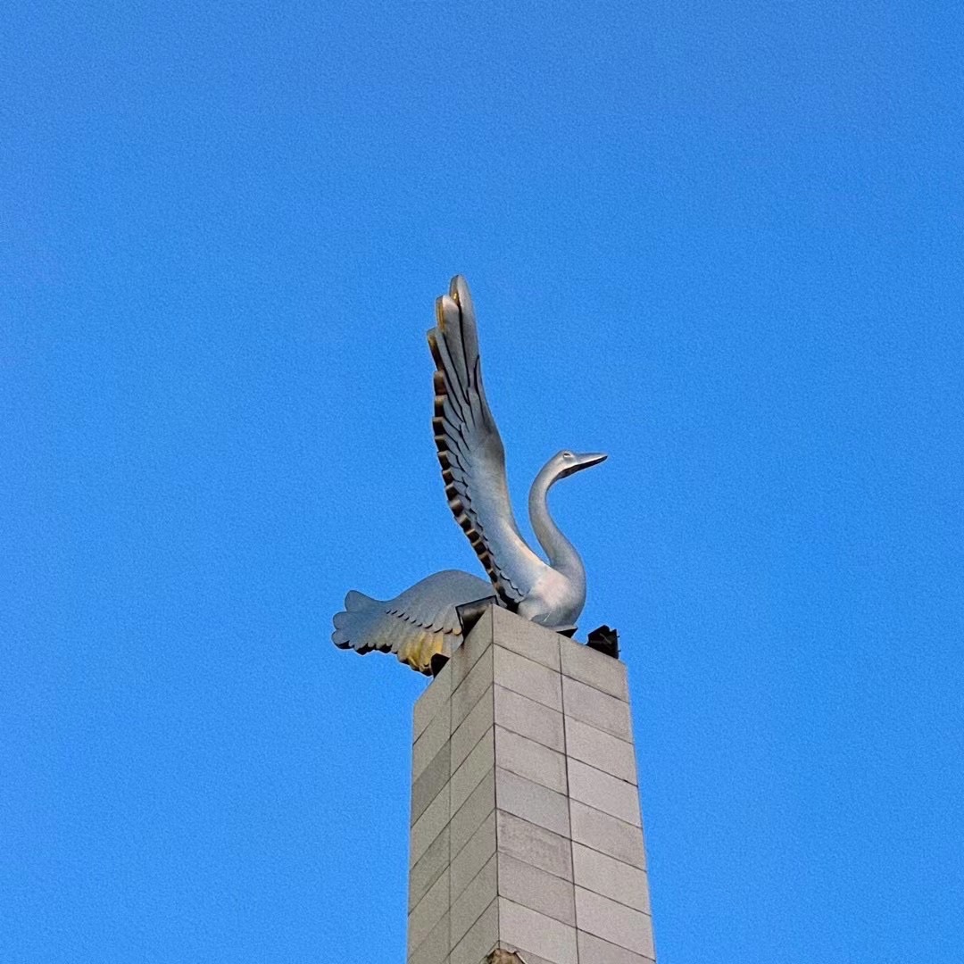 白天鹅公园旅行图片 1