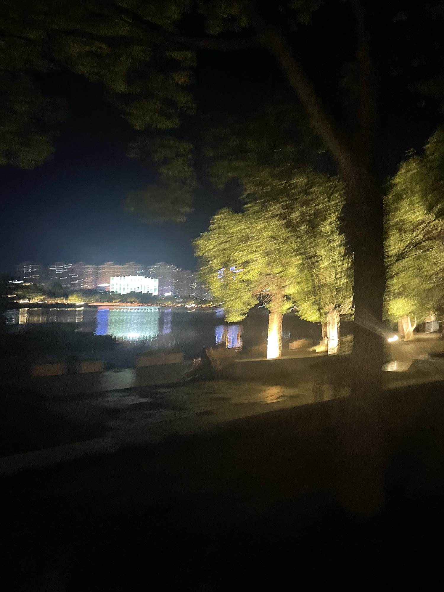 白天鹅公园旅行图片 1