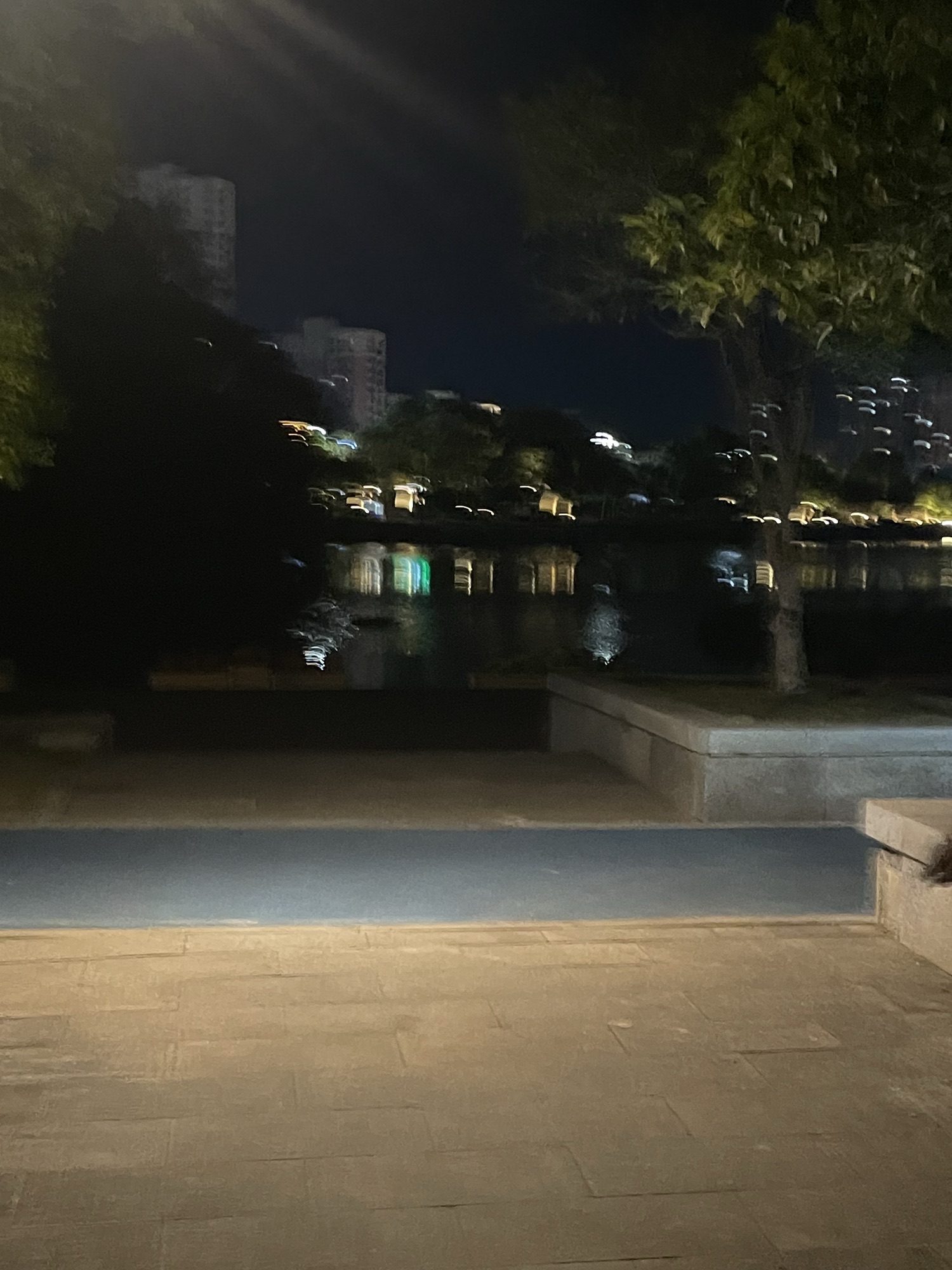 白天鹅公园旅行图片 3