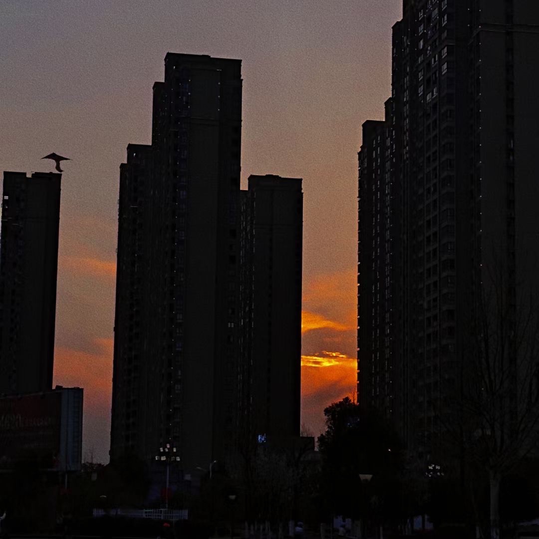 白天鹅公园旅行图片 3