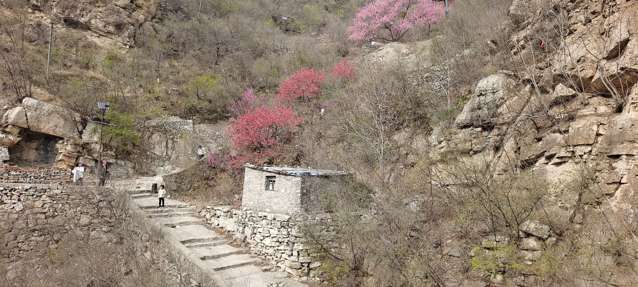 后山奶奶大殿